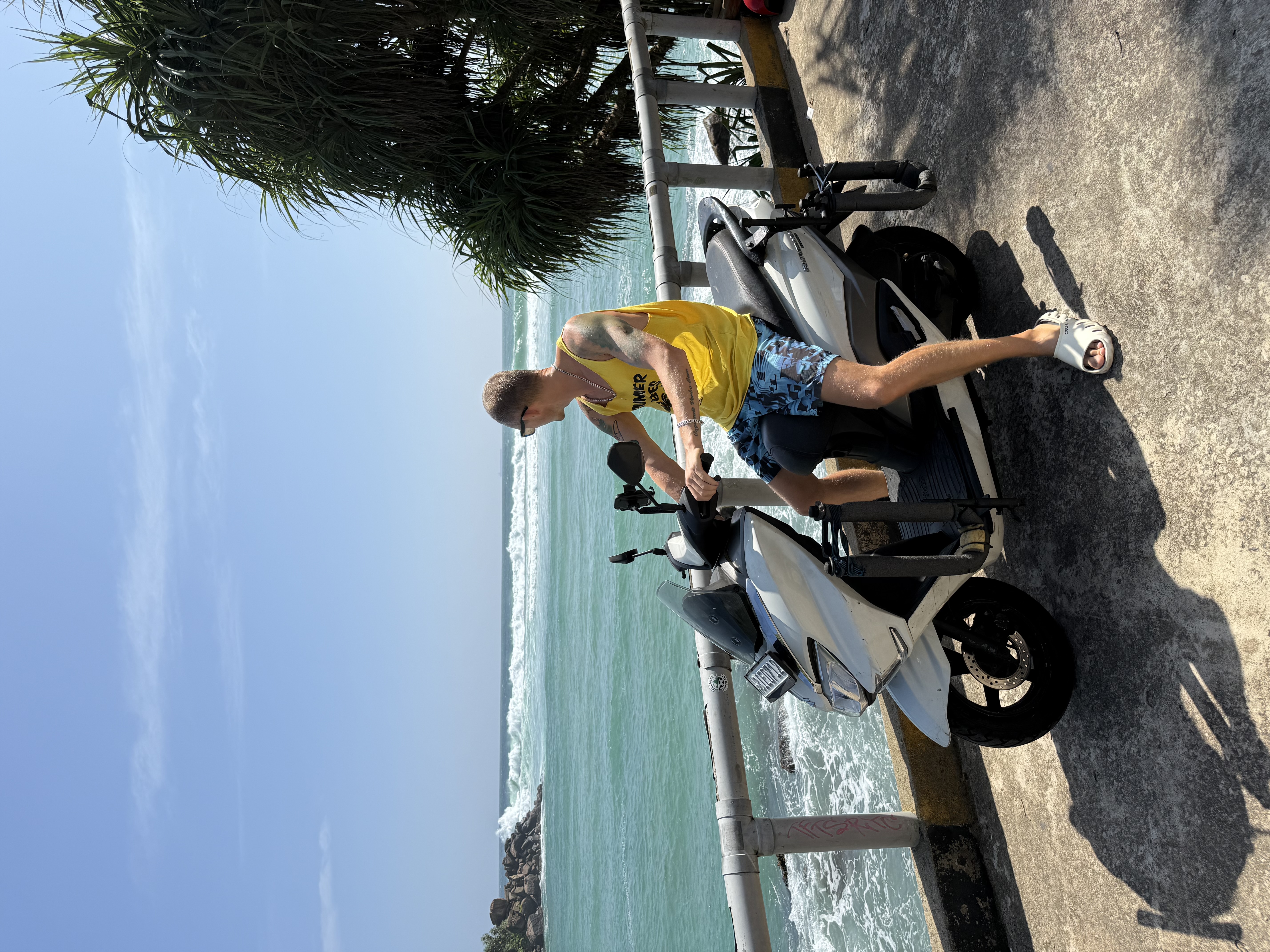 Акклиматизация с большими черепахами