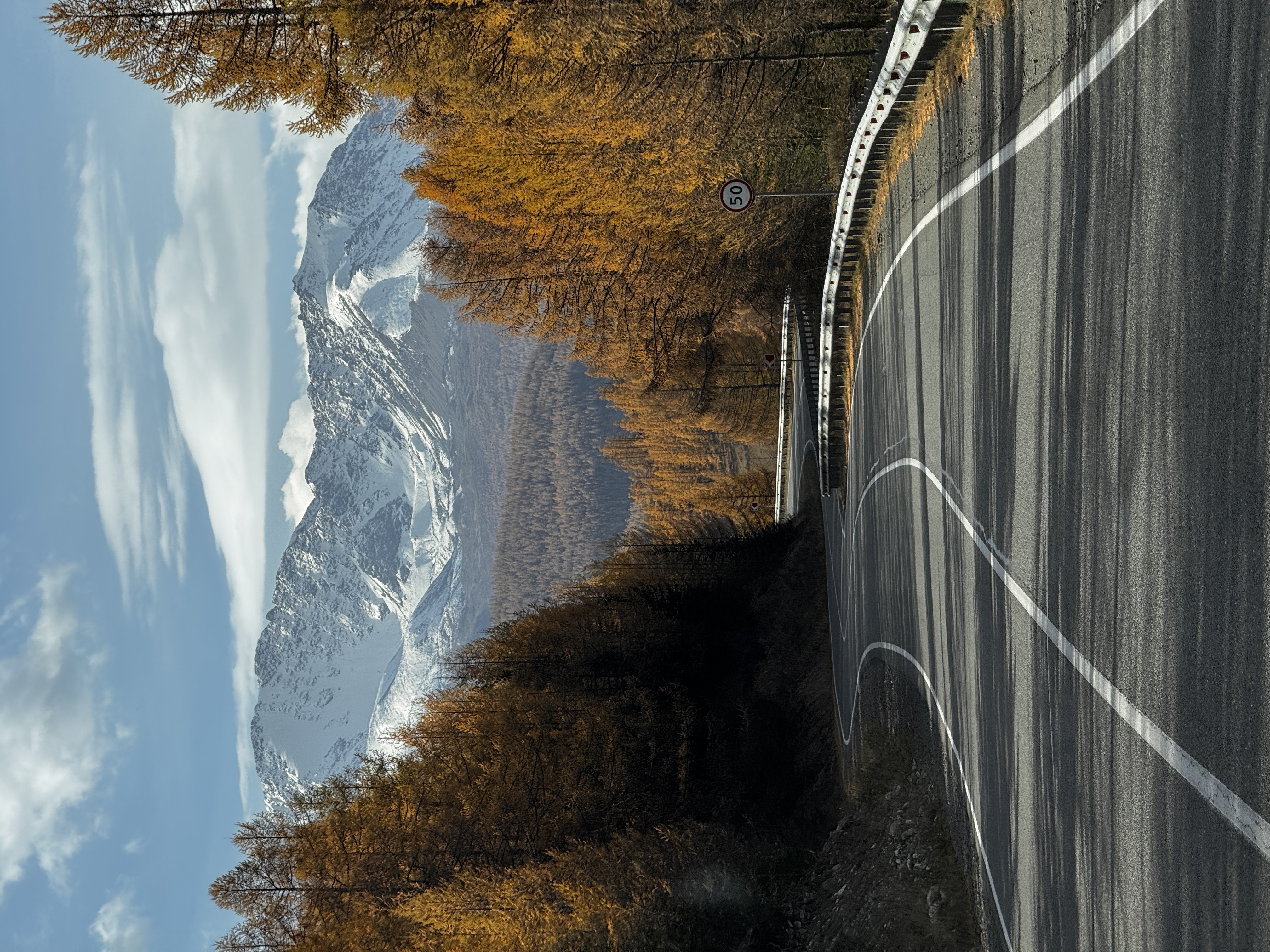 Цветение Маральника (17/17)