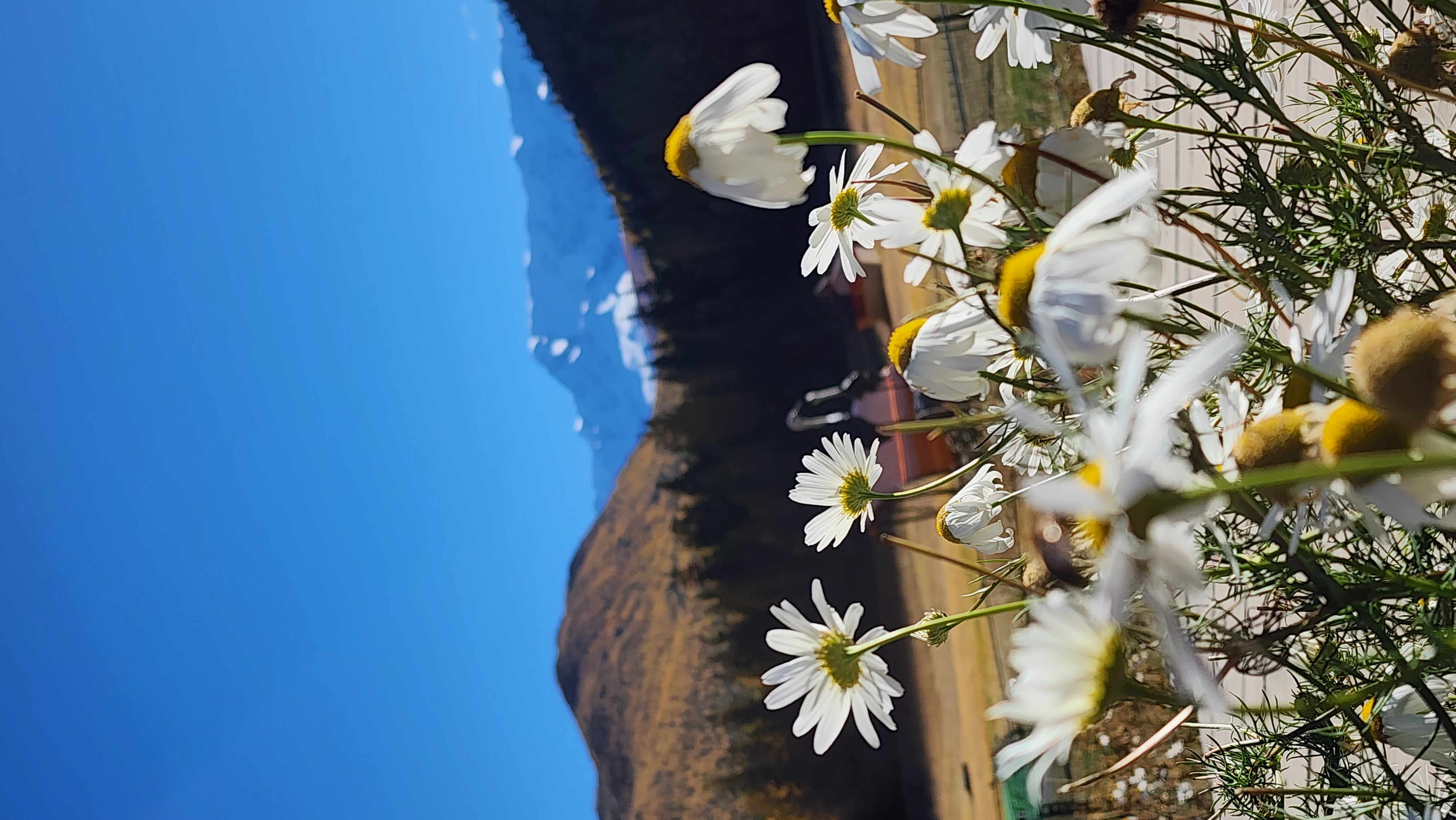 Все включено, Алтай на максимум за 5 дней (баня, конная прогулка, внедорожник) (85/162)