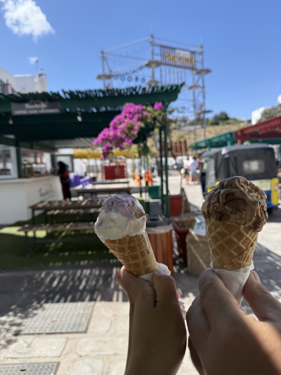 Цветы, побережье и настоящая Южная Африка