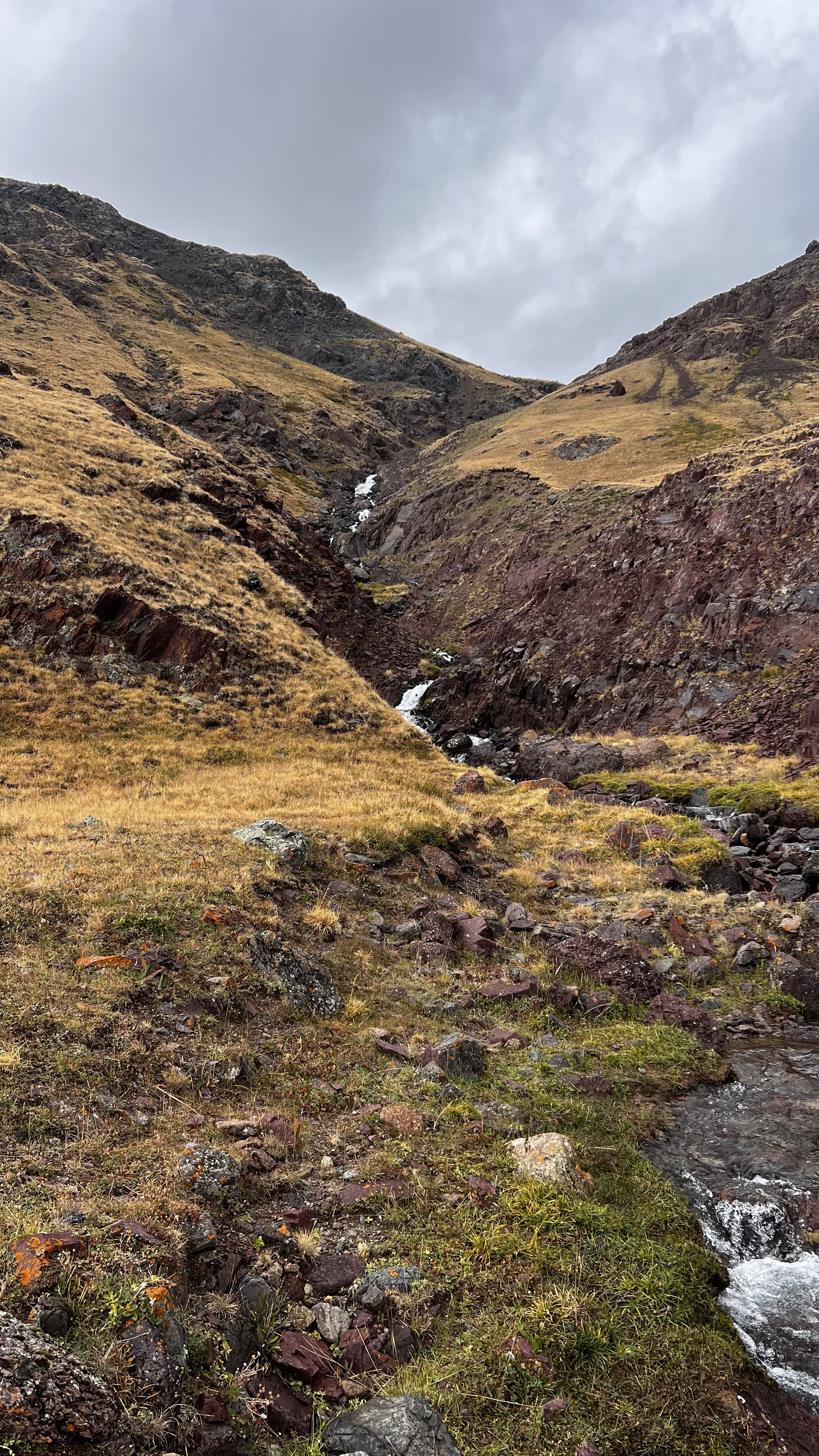 Монголия: 49 параллель. (19/25)