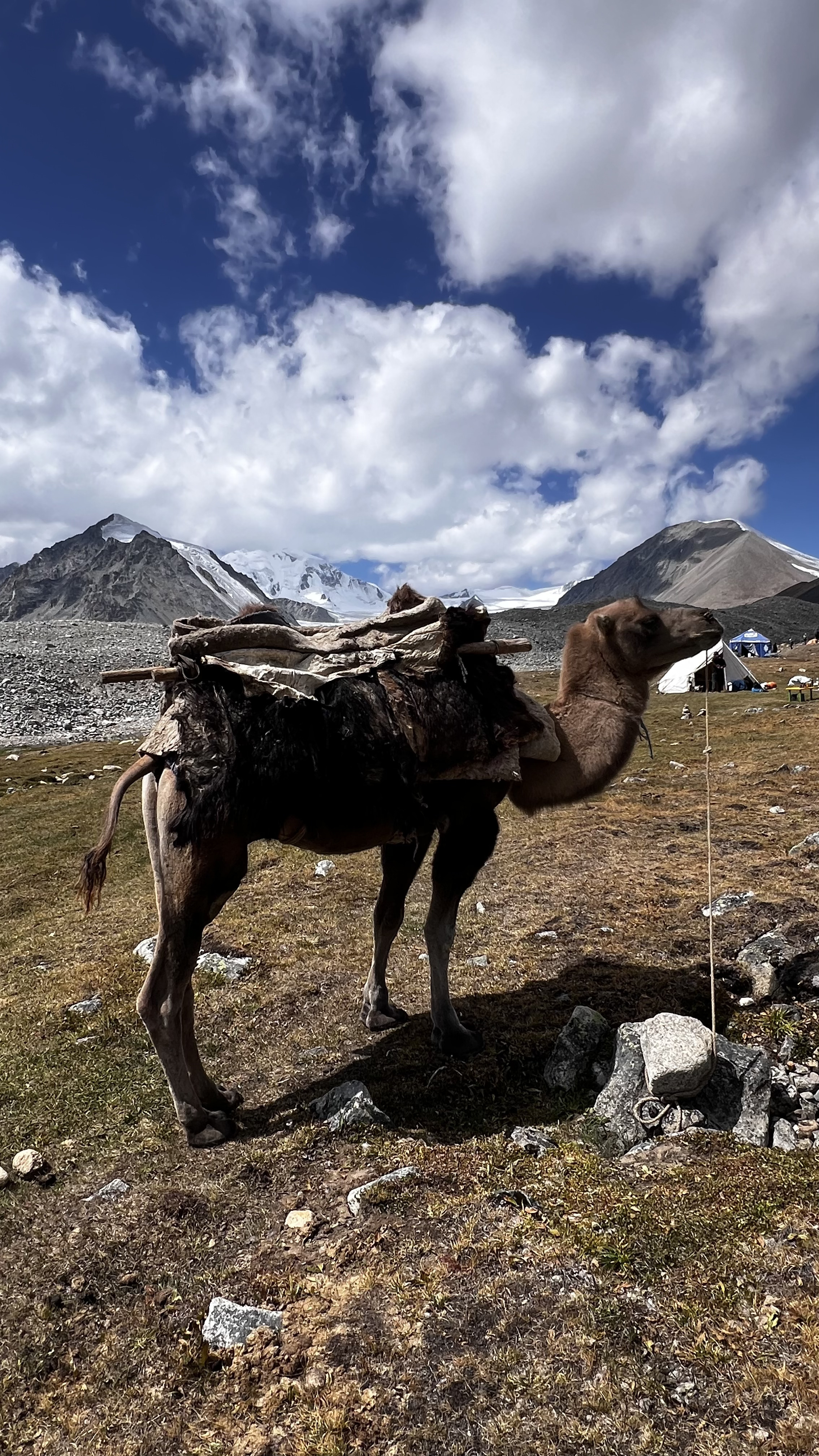 Монголия: 49 параллель. (13/25)