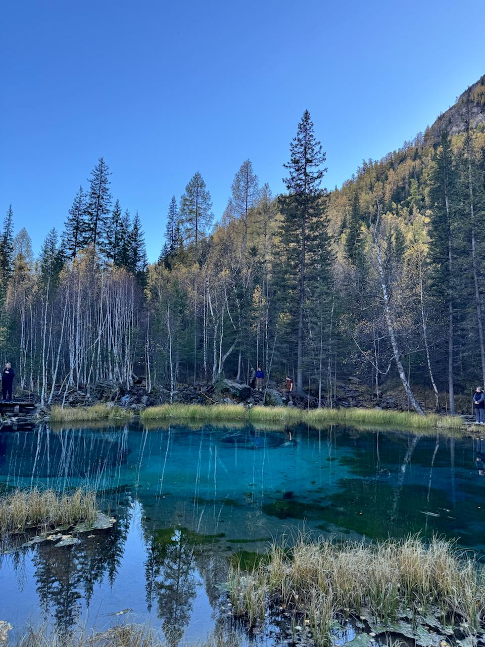 Все включено, Алтай на максимум за 5 дней (баня, конная прогулка, внедорожник) (124/162)