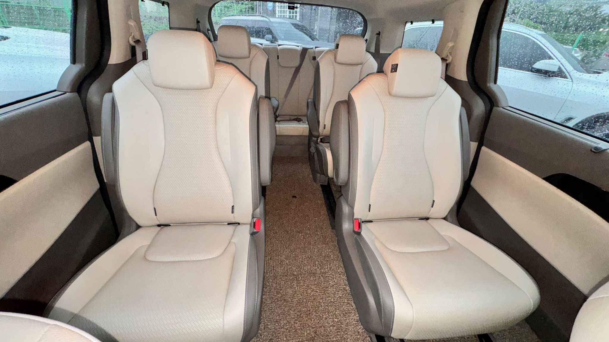 Цветение Маральника (7/17)