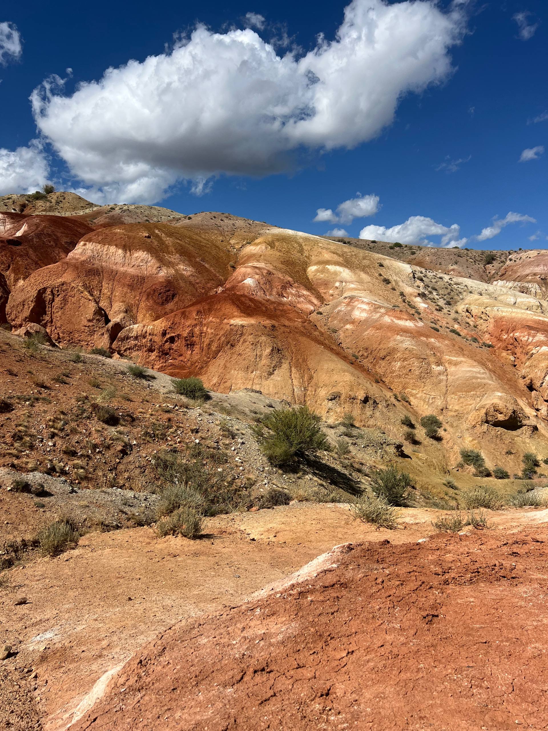 Все включено, Алтай на максимум за 5 дней (баня, конная прогулка, внедорожник) (99/162)