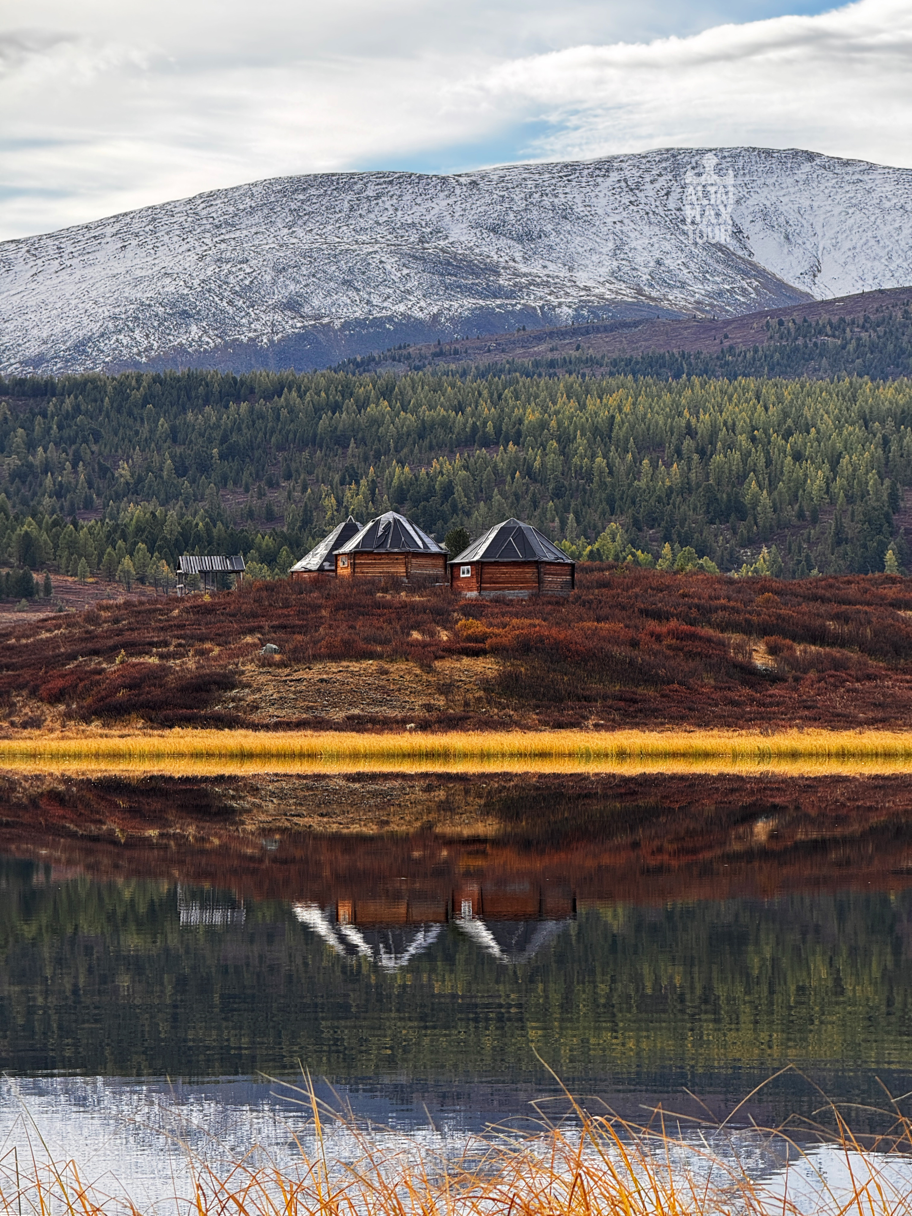 Цветение Маральника (12/17)