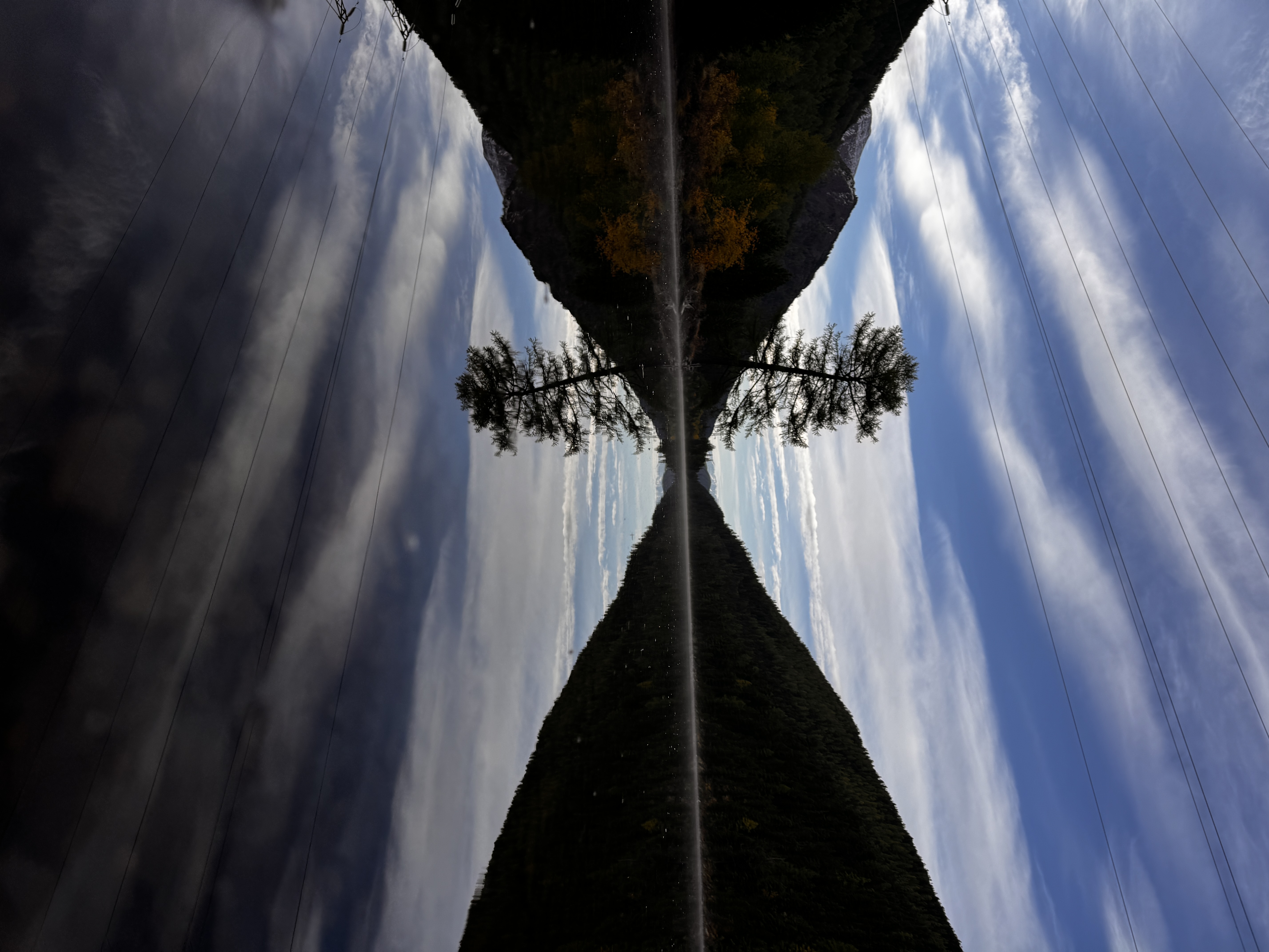 Цветение Маральника (13/17)