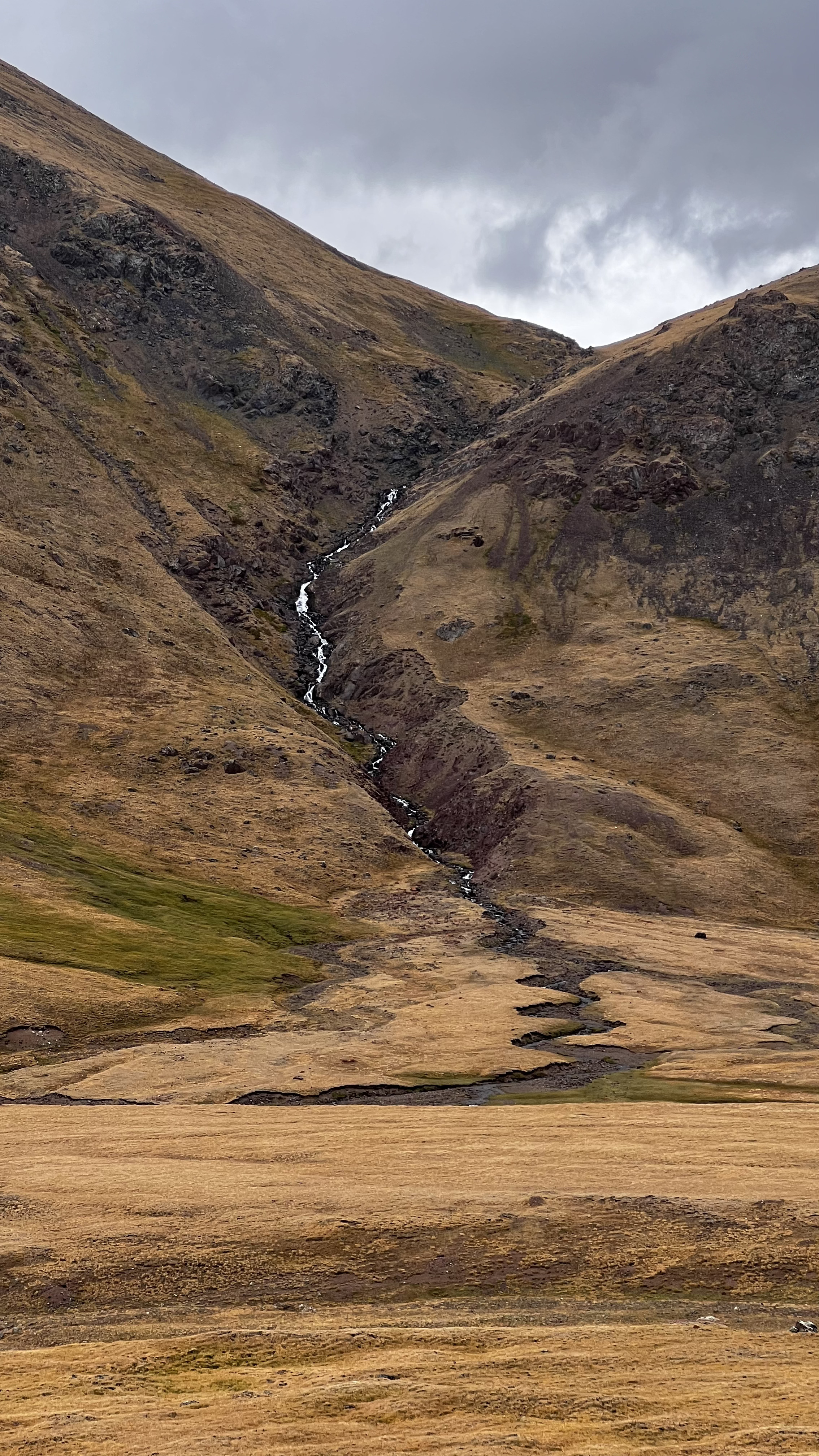 Монголия: 49 параллель. (18/25)