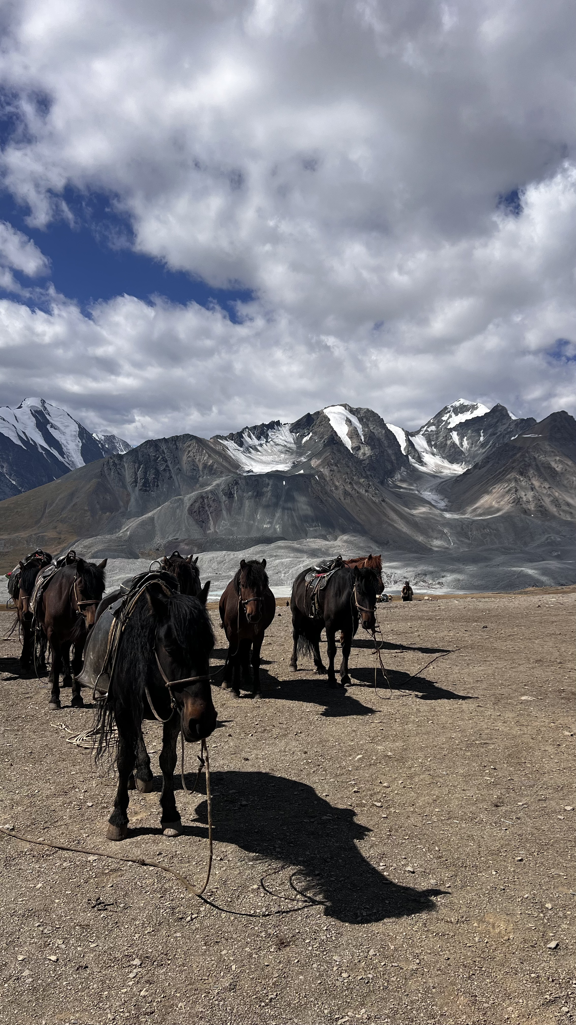 Монголия: 49 параллель. (2/25)