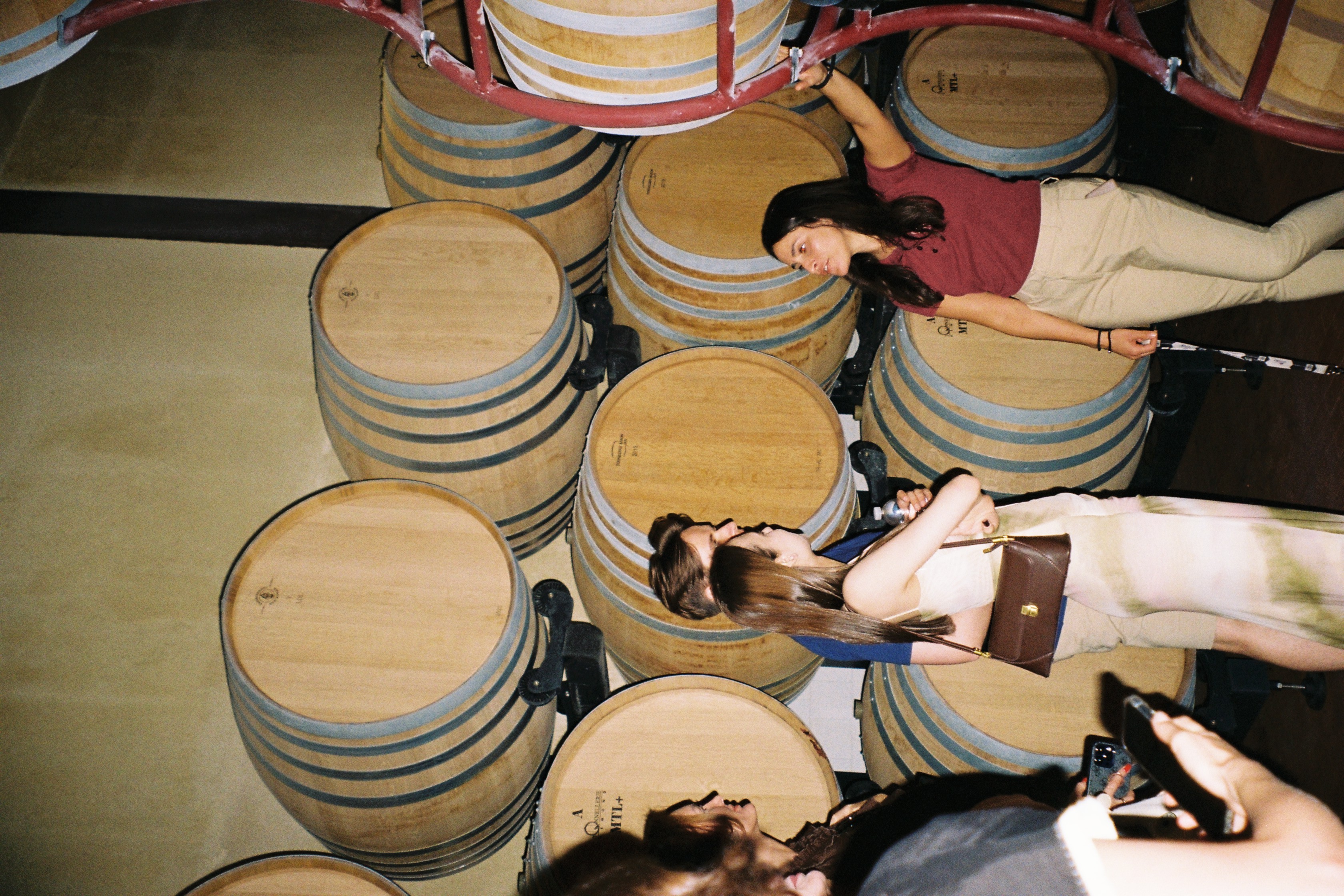 Винная Тоскана все включено (13/30)