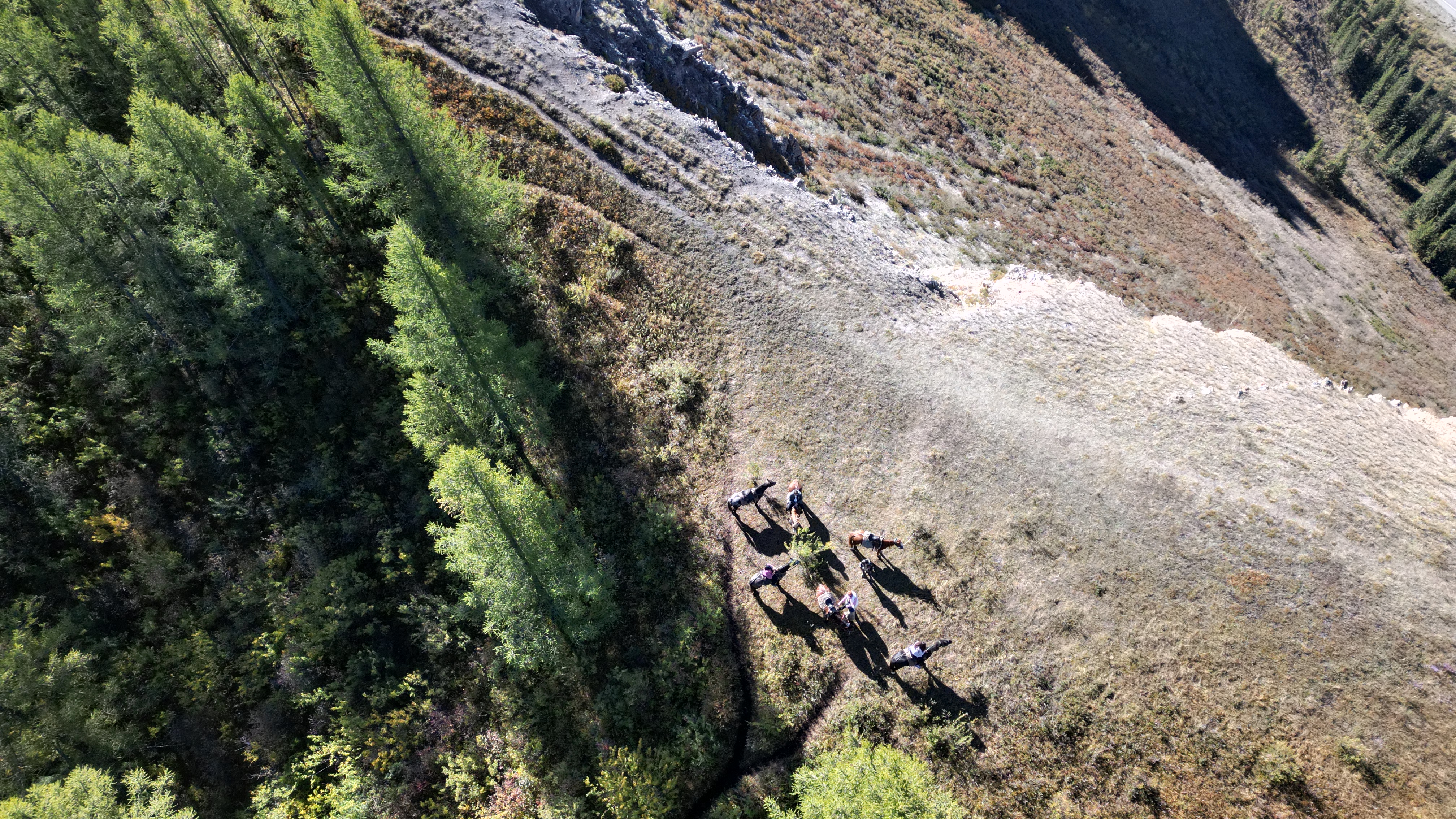 Все включено, Алтай на максимум за 5 дней (баня, конная прогулка, внедорожник) (83/162)