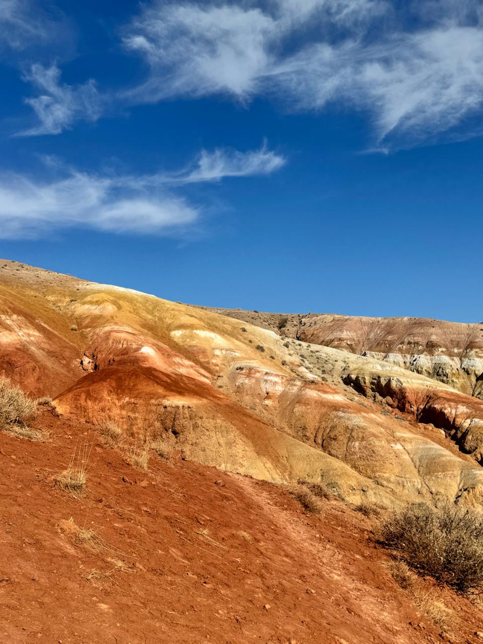 Все включено, Алтай на максимум за 5 дней (баня, конная прогулка, внедорожник) (144/162)