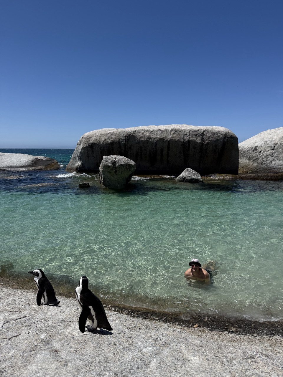 Атлантика, пингвины и мыс Доброй Надежды