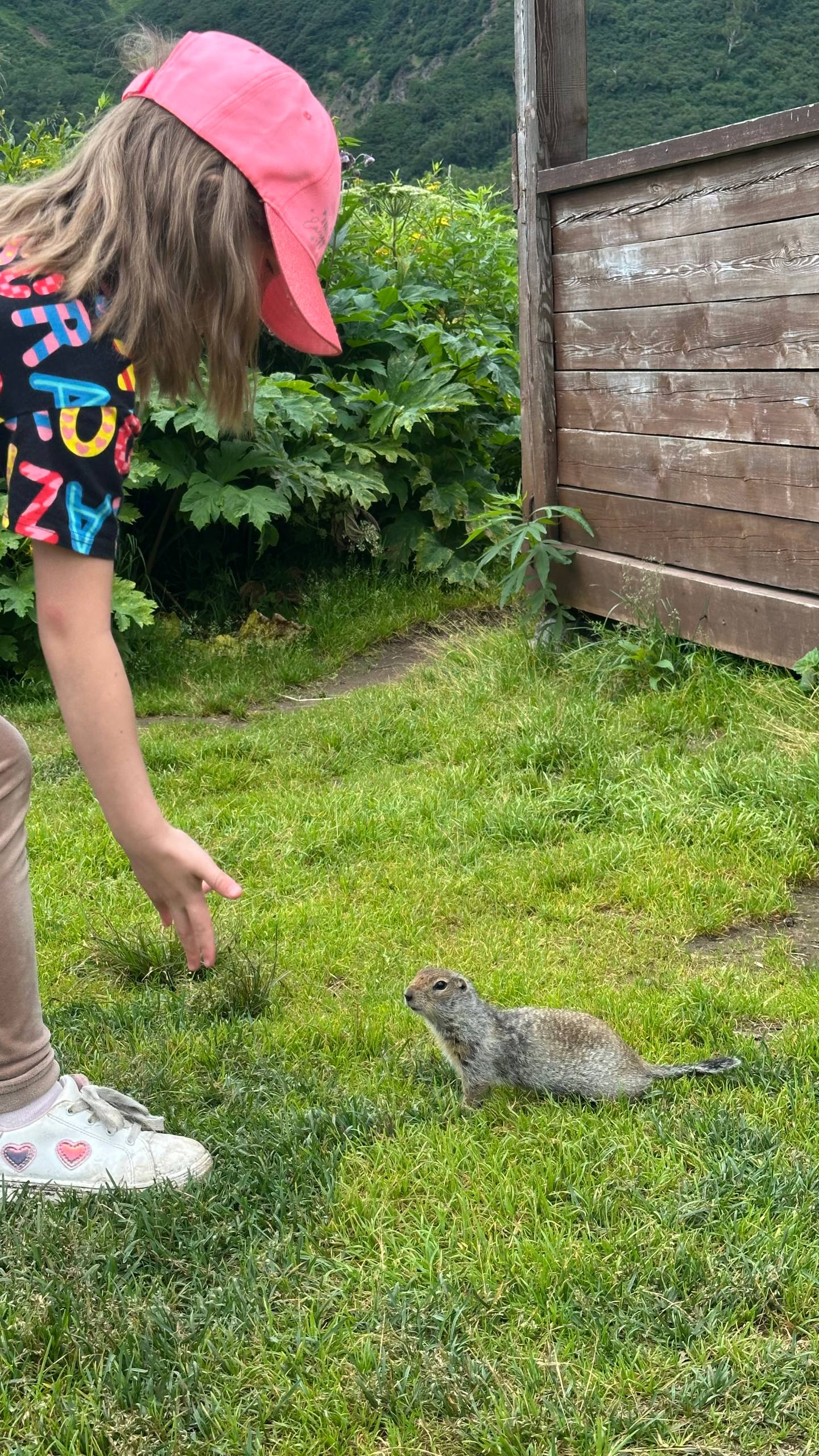 Вся Камчатка за 8 дней (лето) (15/90)