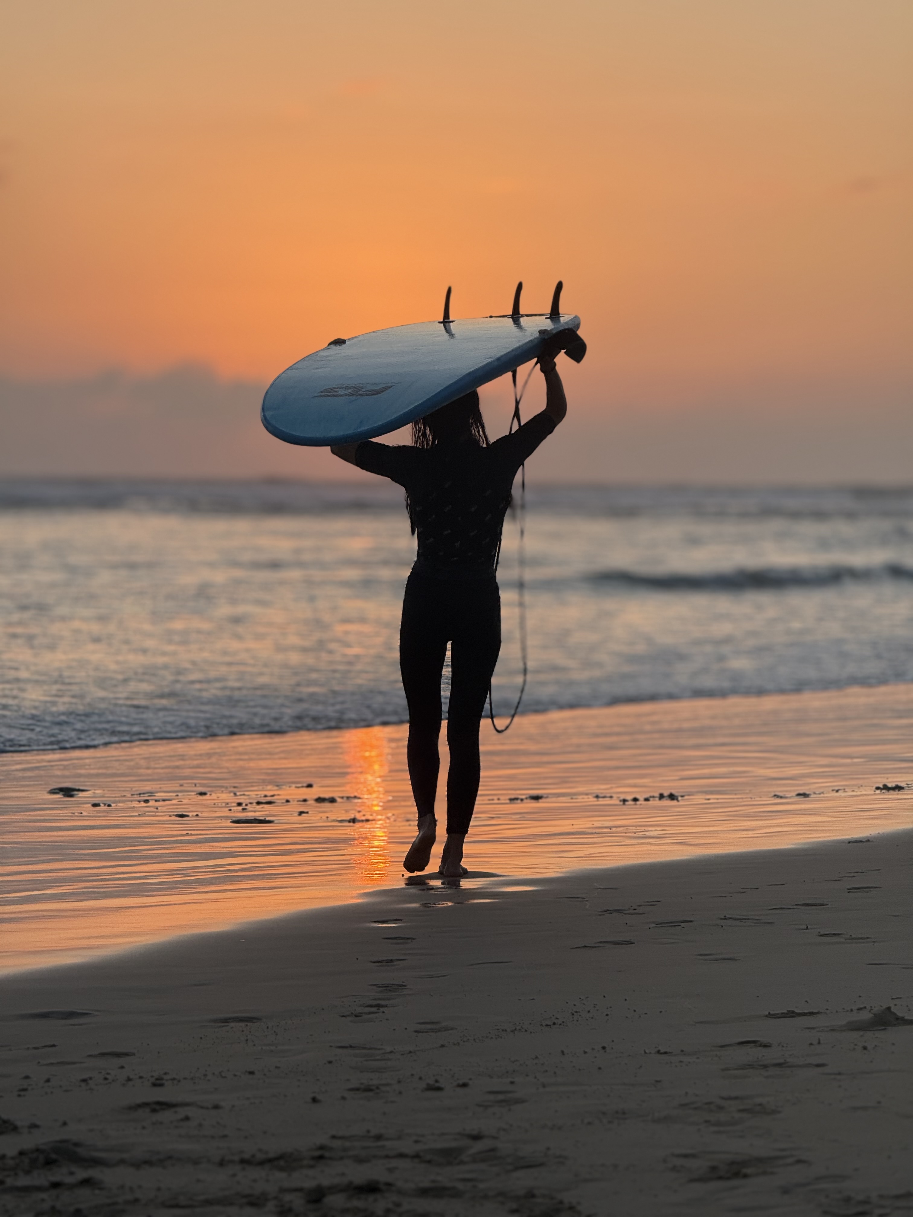 Шри-Ланка на максимум: от джунглей до океанских волн (18/100)