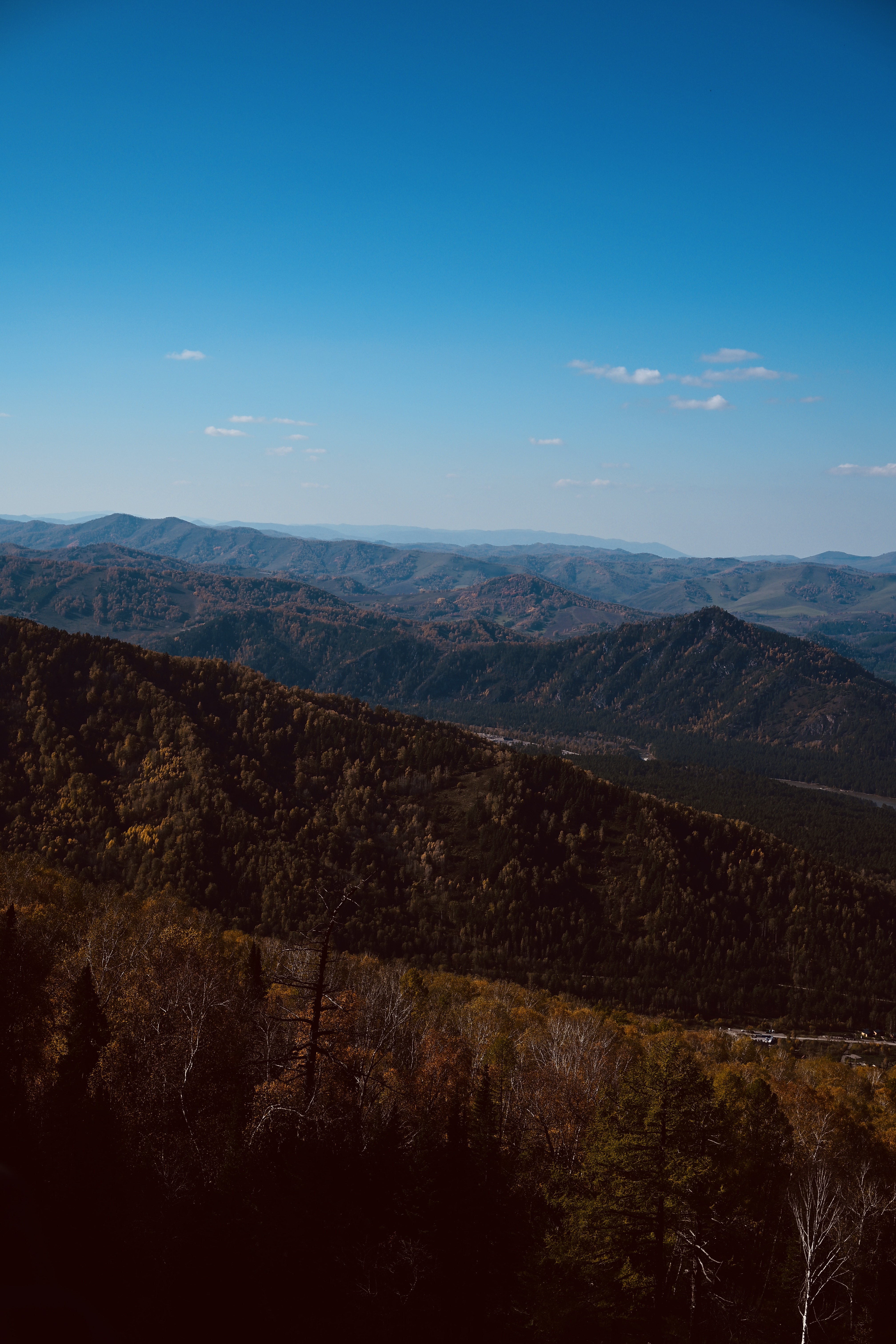 Все включено, Алтай на максимум за 5 дней (баня, конная прогулка, внедорожник) (87/162)