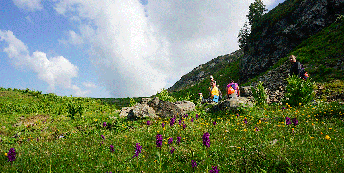 Треккинг в Архыз. Максимальное погружение (34/80)