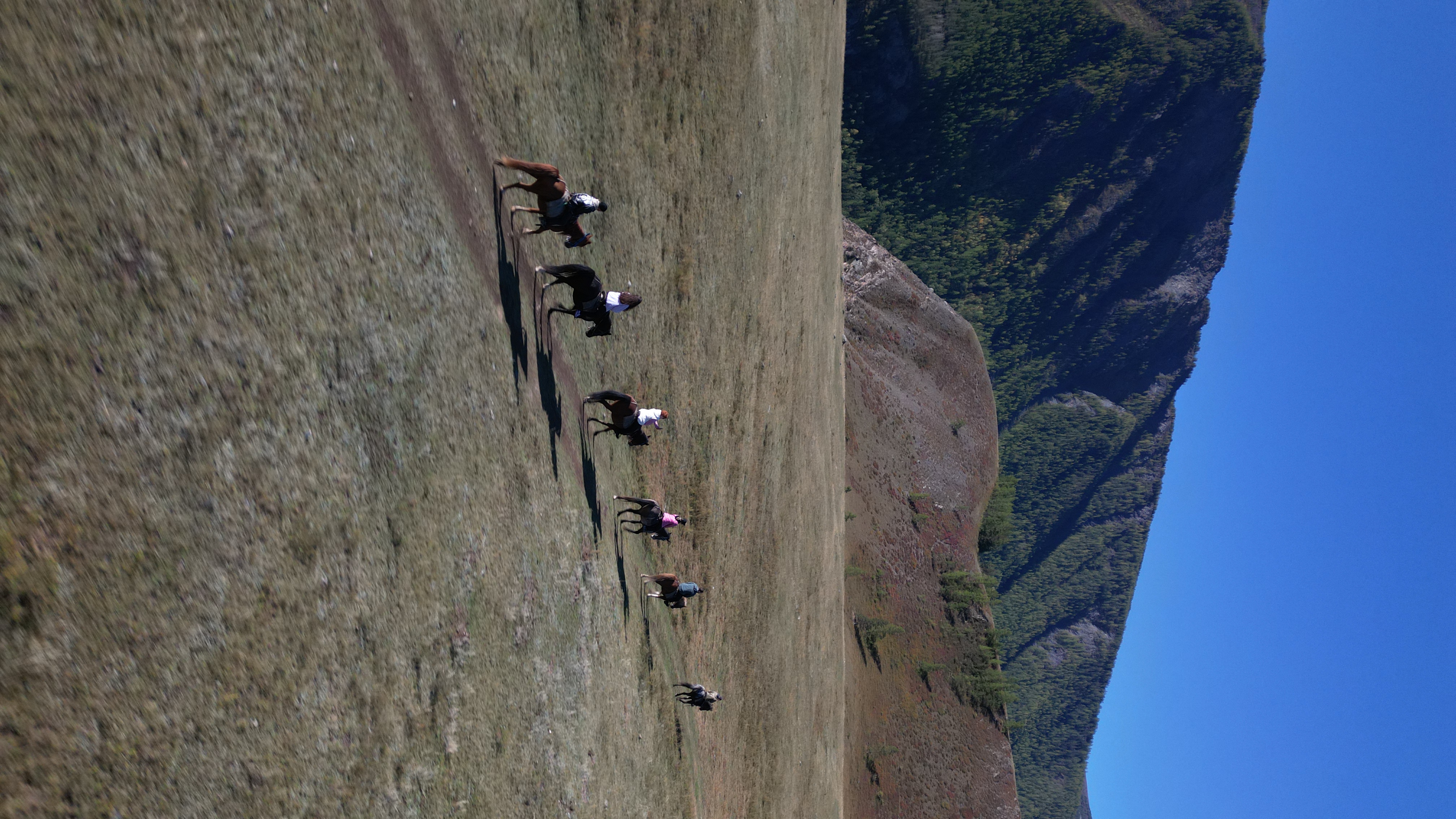 Все включено, Алтай на максимум за 5 дней (баня, конная прогулка, внедорожник) (80/162)