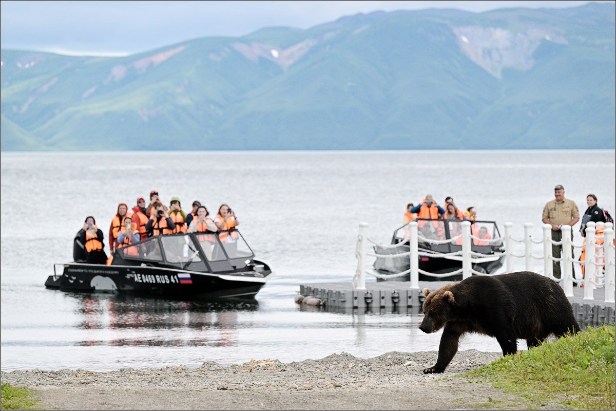 Вся Камчатка за 8 дней (лето) (29/90)