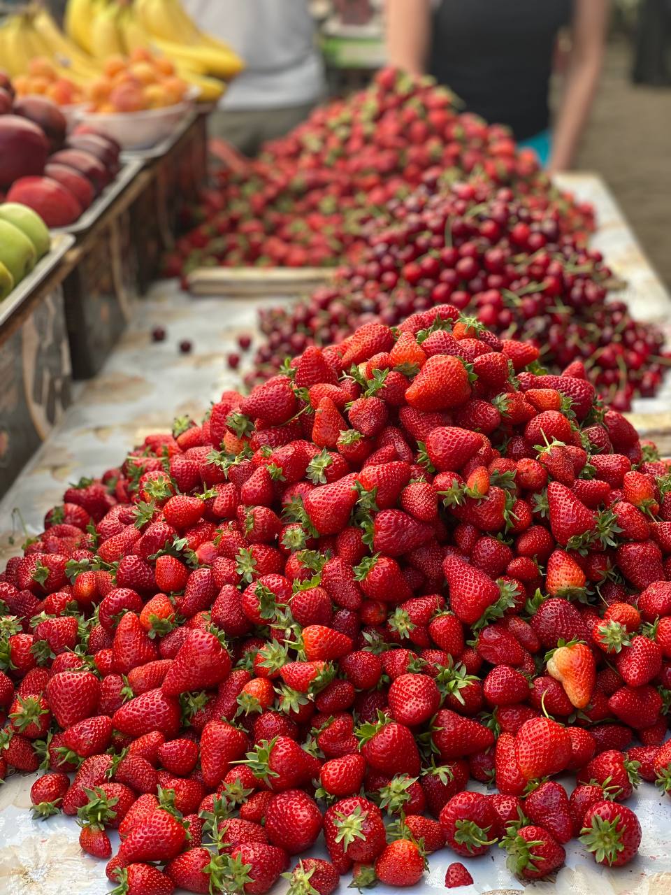 Первозданный Кыргызстан. Топ-10 мест. Все включено. (123/125)
