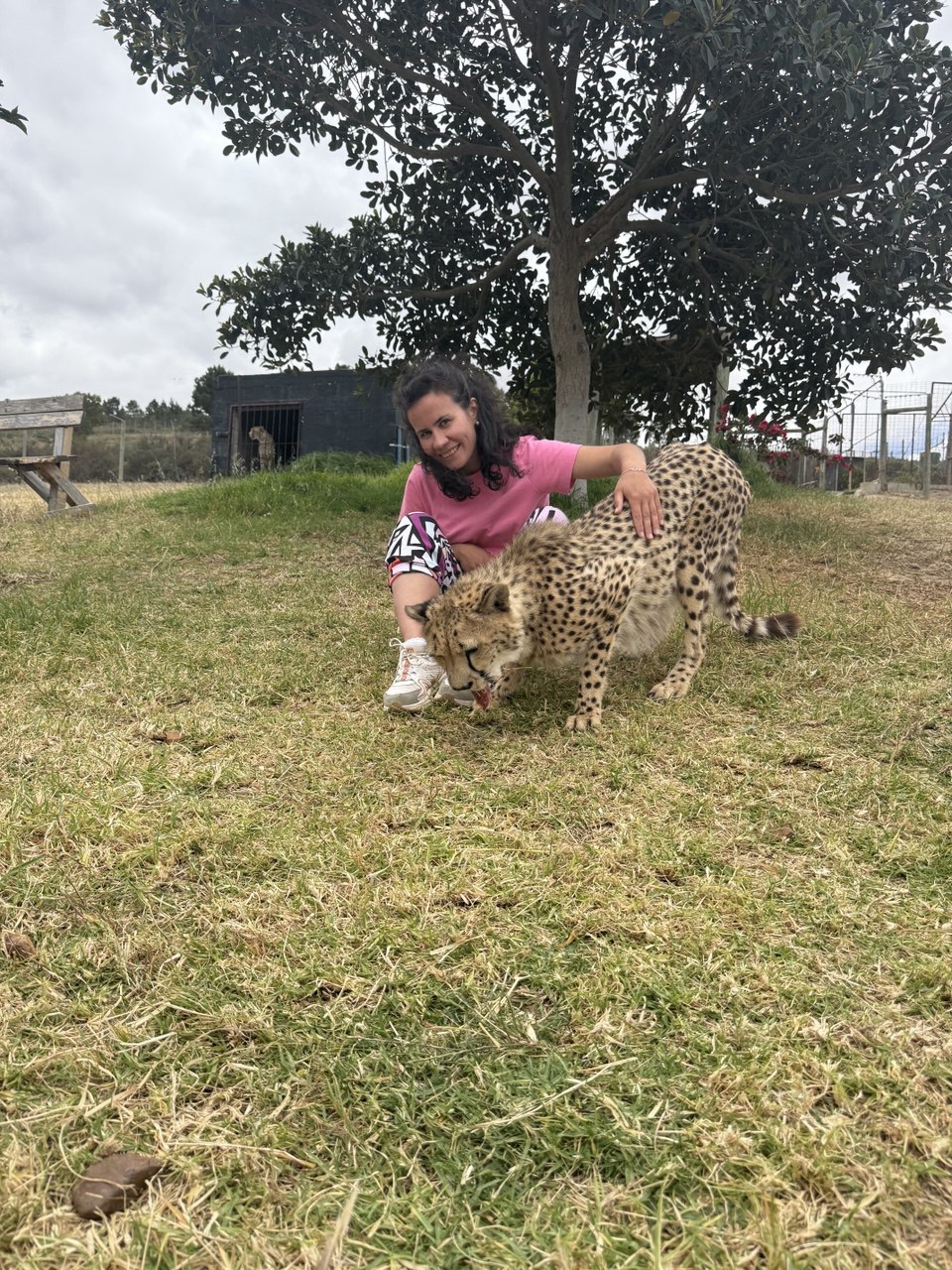 Встреча с дикой природой, вино и дорога к океану