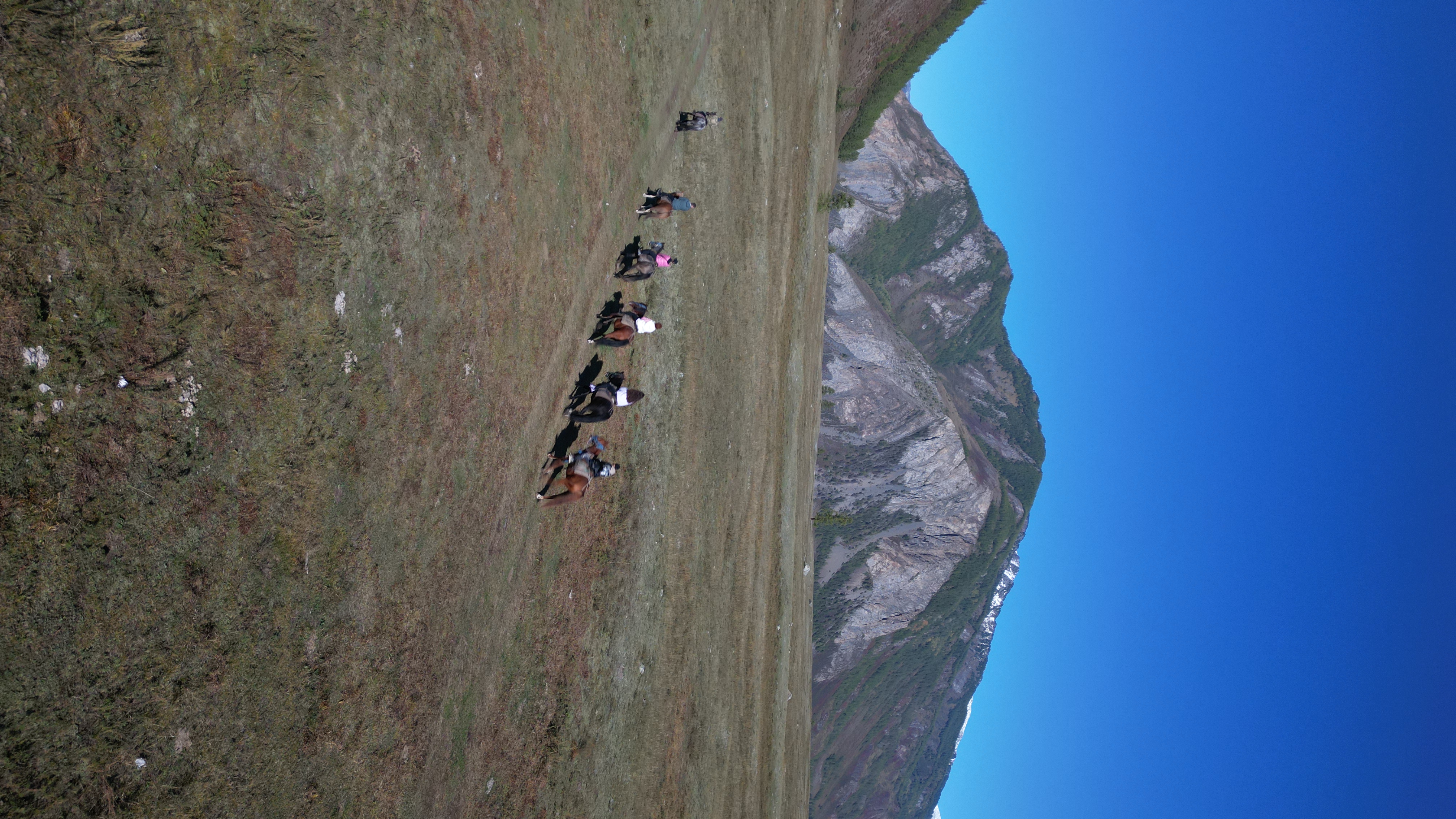 Все включено, Алтай на максимум за 5 дней (баня, конная прогулка, внедорожник) (81/162)