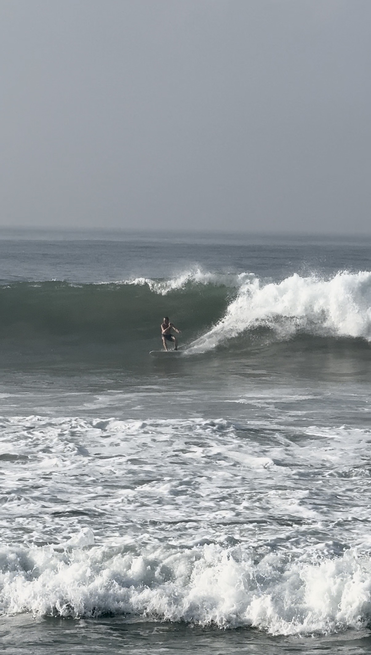 Серфинг. Черепашья ферма