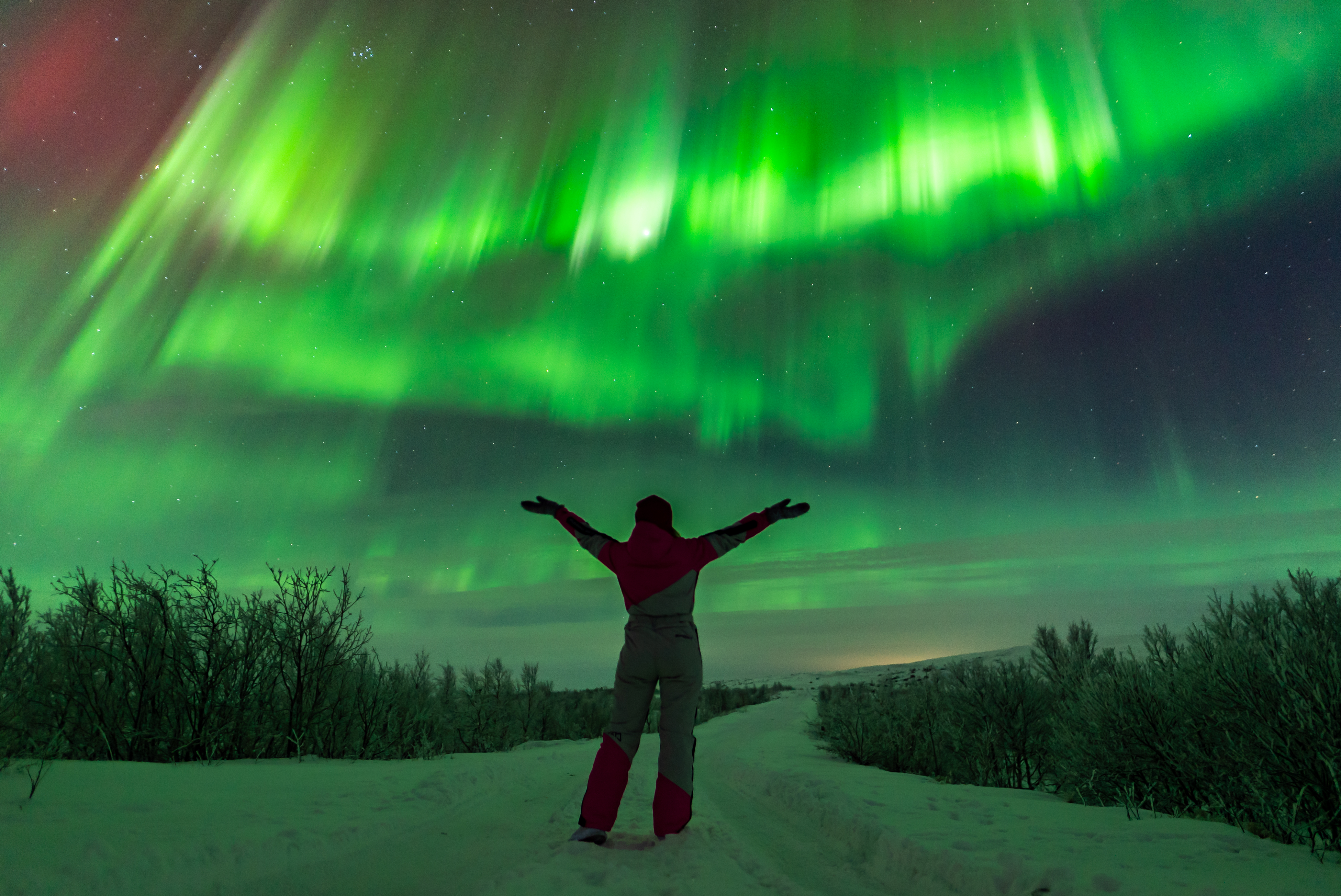Аврора. Море. Ты. Териберка с выходом в море и проживанием