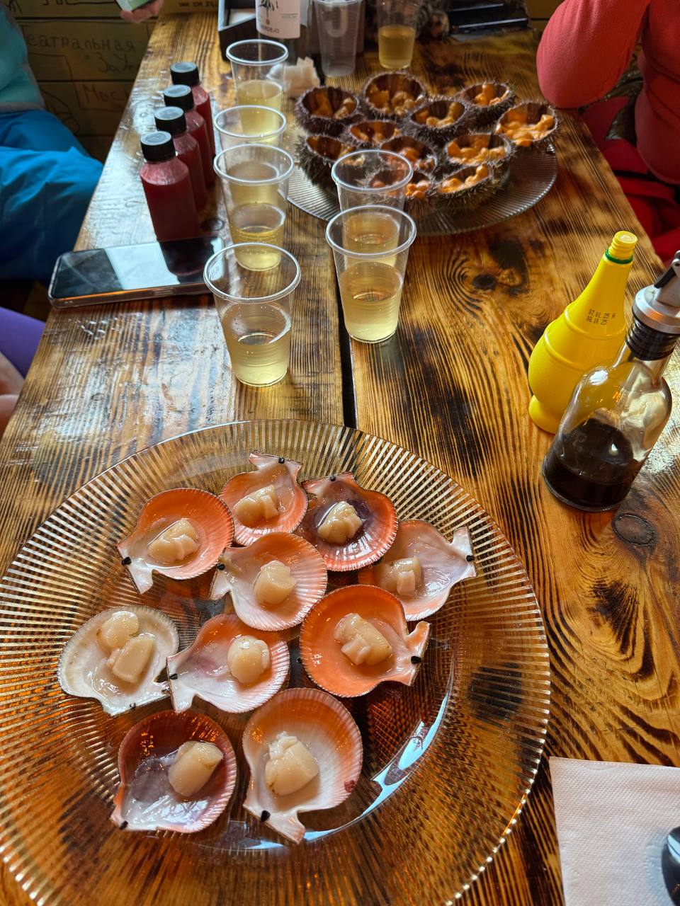 Териберка: край китов и изумрудного неба (19/36)