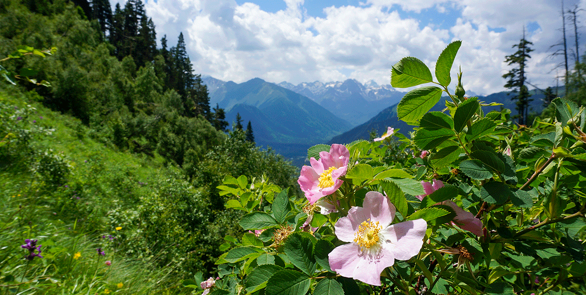 Треккинг в Архыз. Максимальное погружение (29/80)