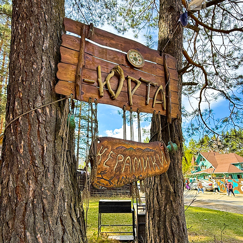 Цветение маральника на Алтае. Майские в сиреневых горах. (19/79)