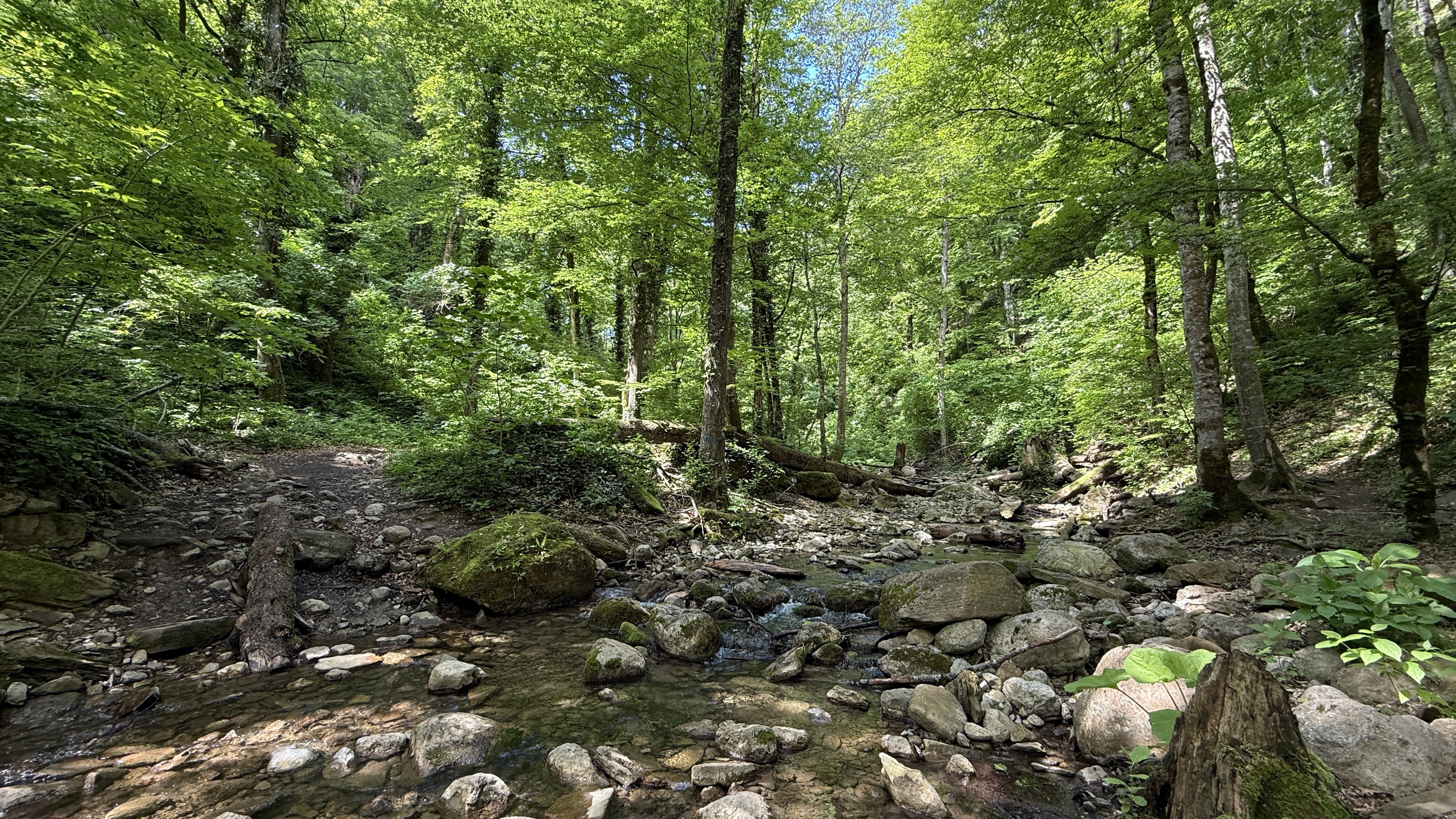 Треккинг в Горячем Ключе (44/76)