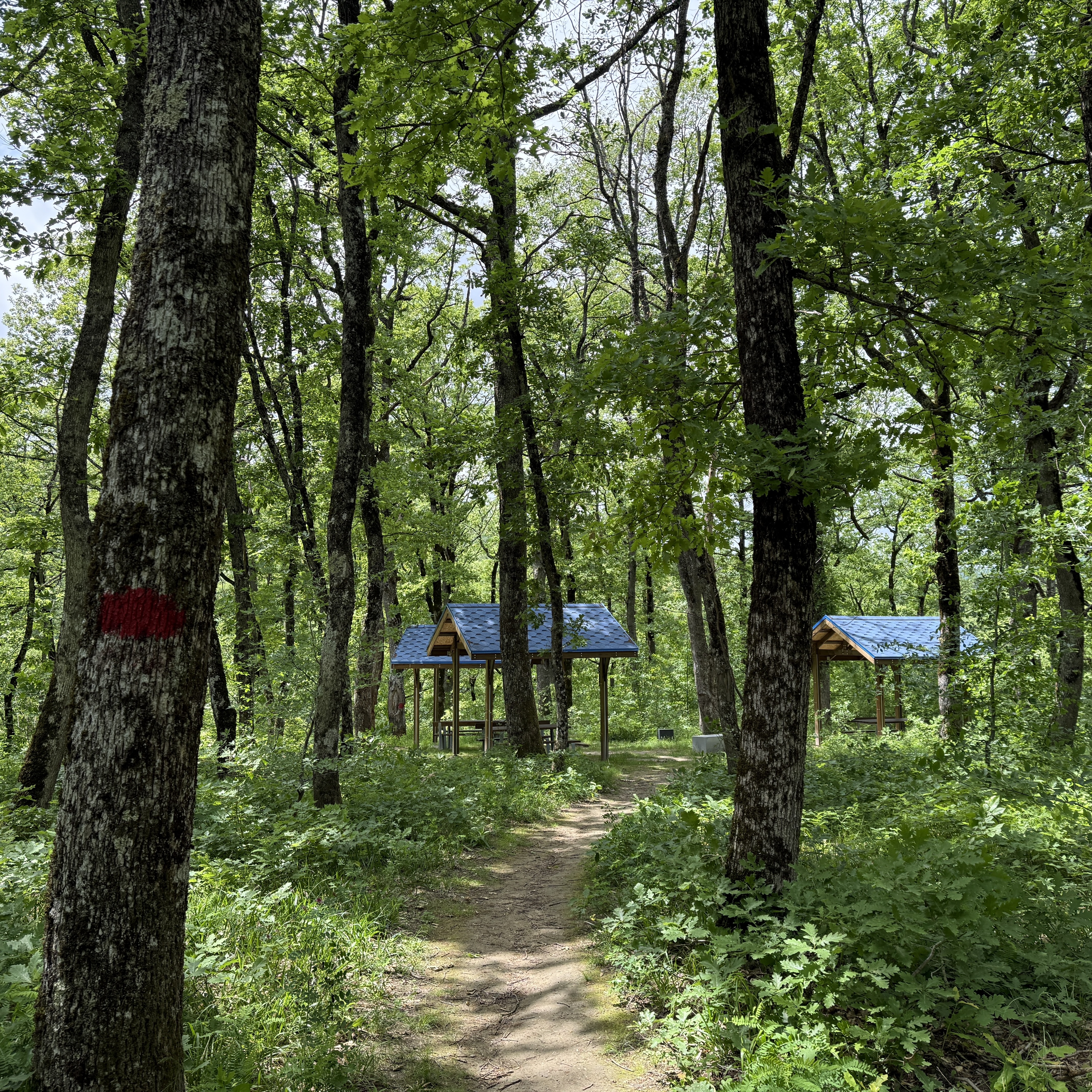 Треккинг в Горячем Ключе (2/76)