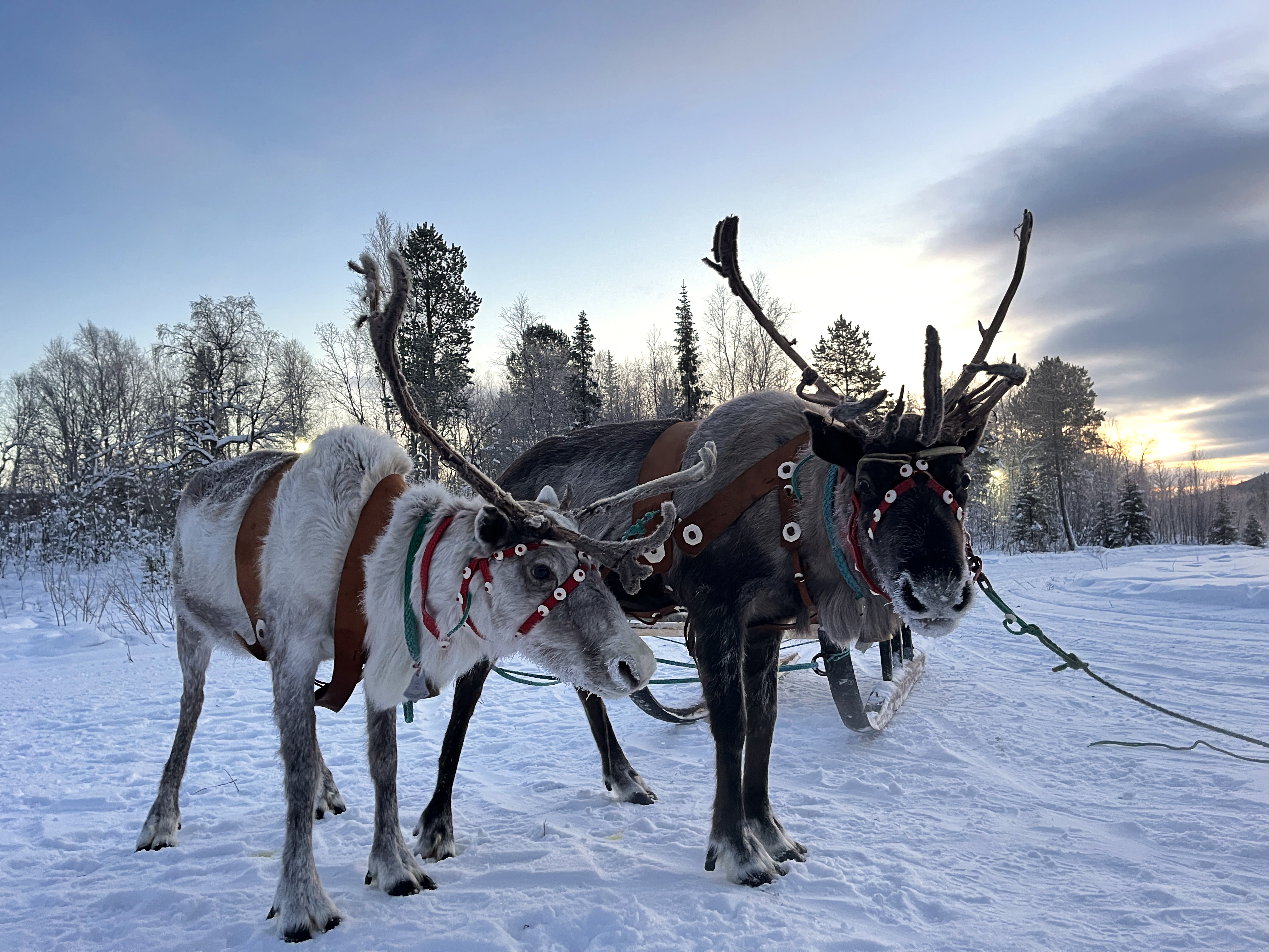 Саамские мотивы. Этнический парк (13/16)