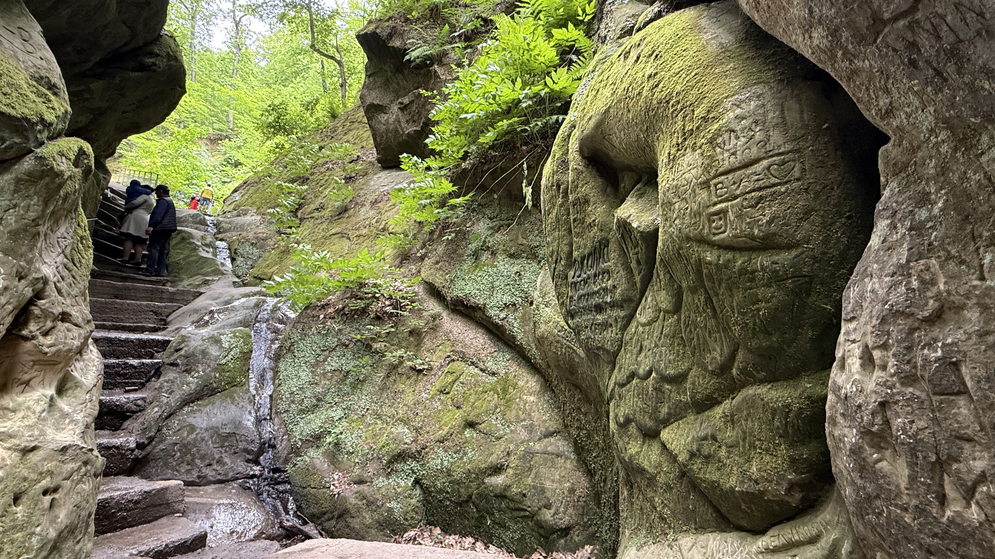 Треккинг в Горячем Ключе (27/76)