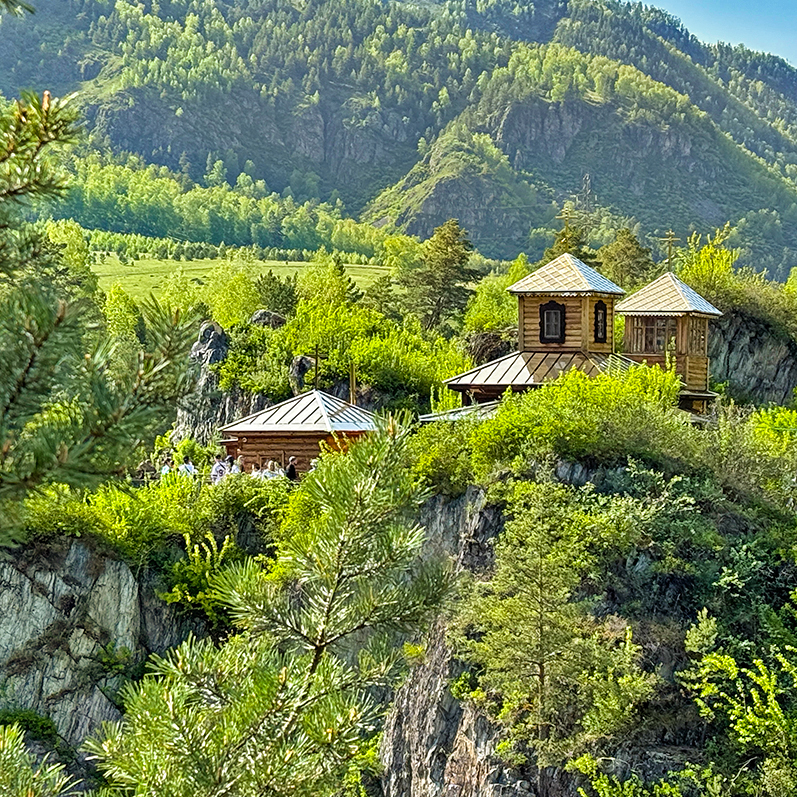 Цветение маральника на Алтае. Майские в сиреневых горах. (22/79)