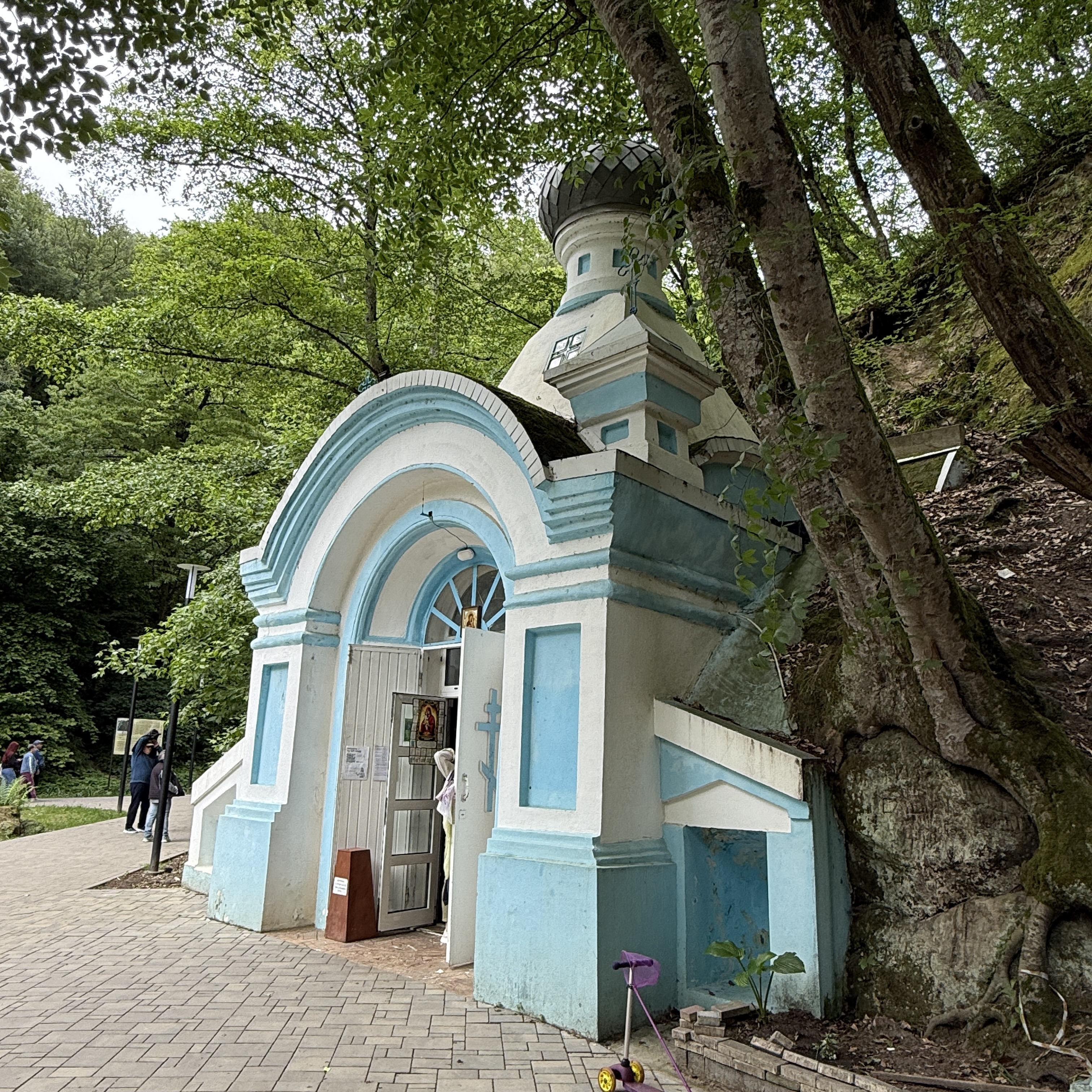 Треккинг в Горячем Ключе (24/76)