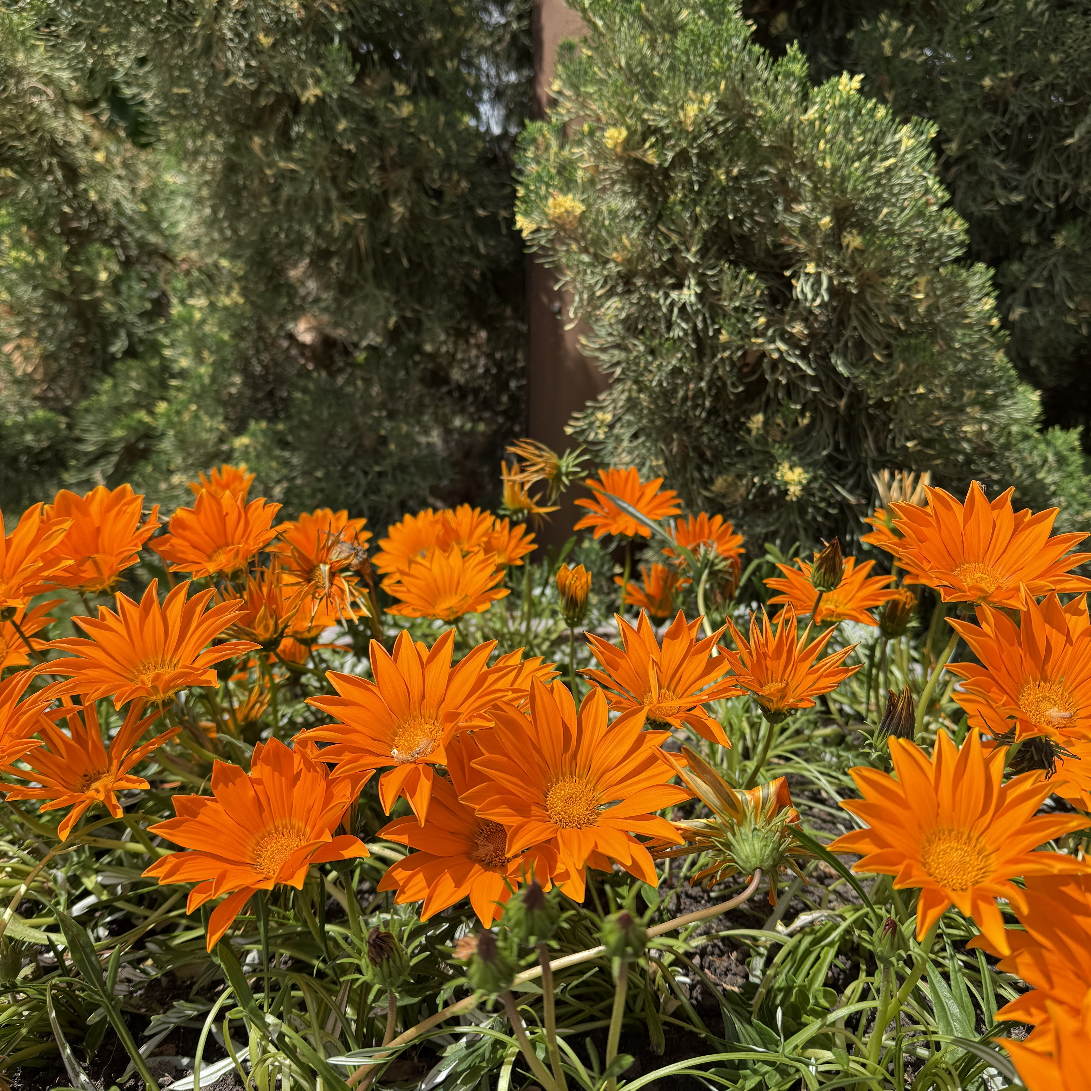 Треккинг в Горячем Ключе (54/76)