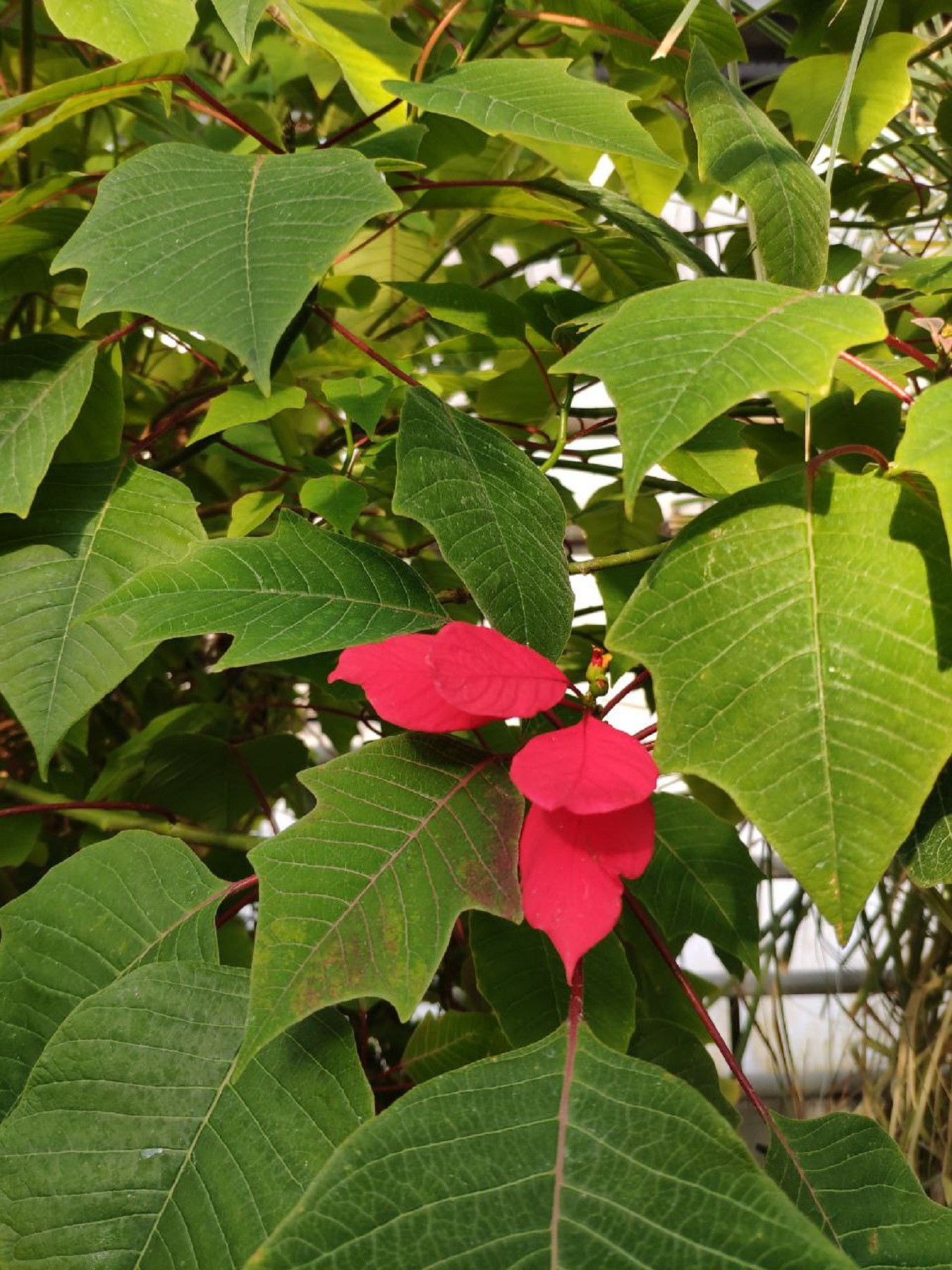 Известная и неизвестная Уфа (10/12)