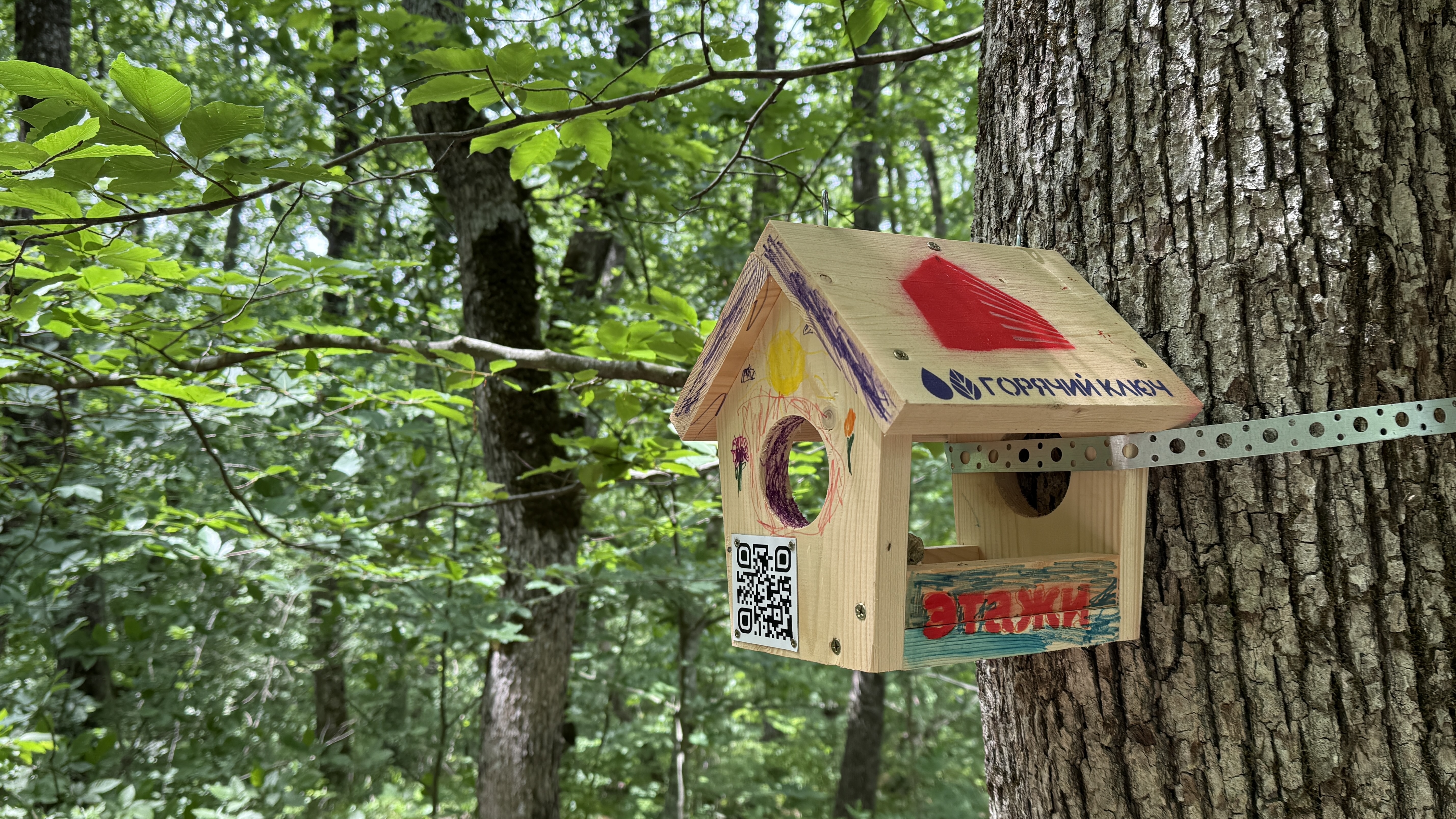 Треккинг в Горячем Ключе (3/76)