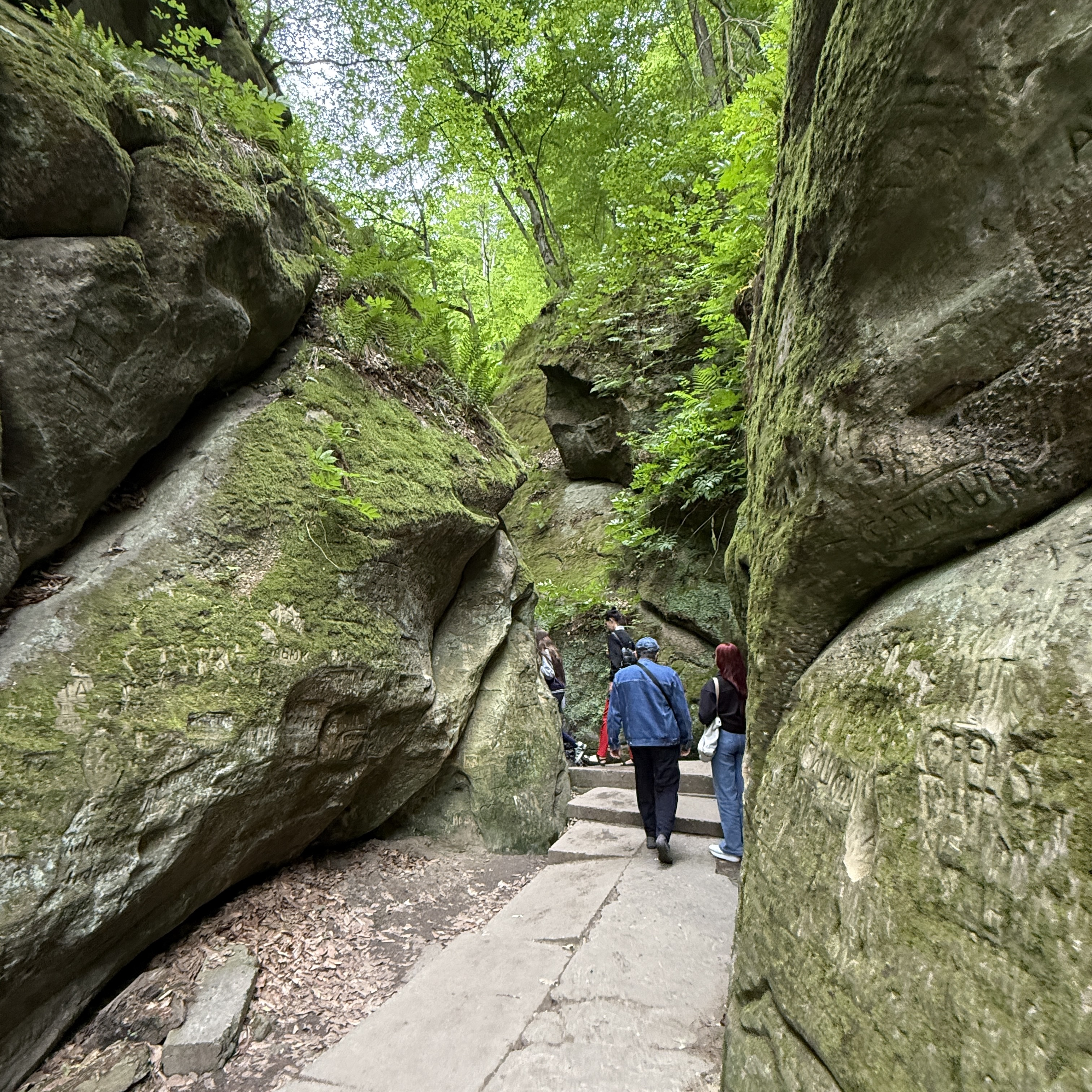 Треккинг в Горячем Ключе (25/76)