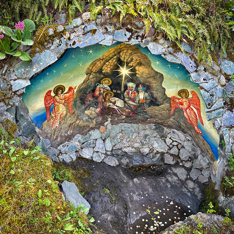 Цветение маральника на Алтае. Майские в сиреневых горах. (57/79)