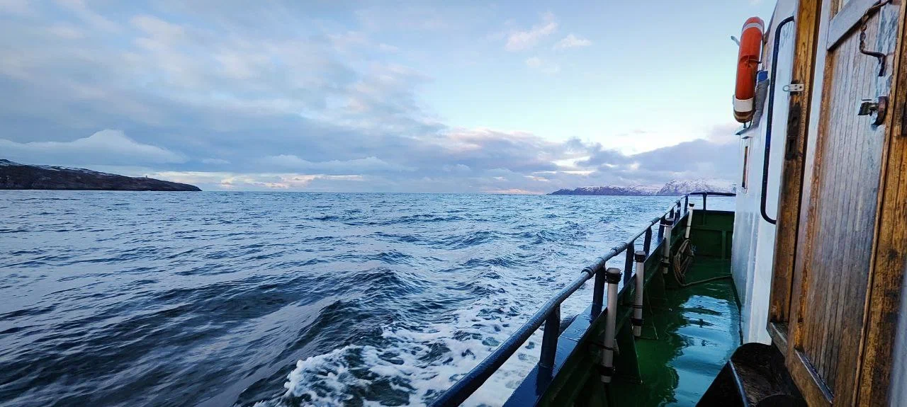 Териберка. Морская прогулка (12/13)