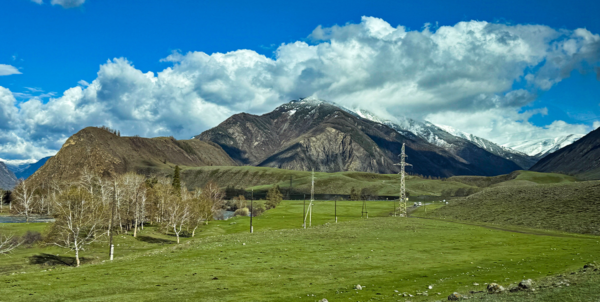 Цветение маральника на Алтае. Майские в сиреневых горах. (58/79)