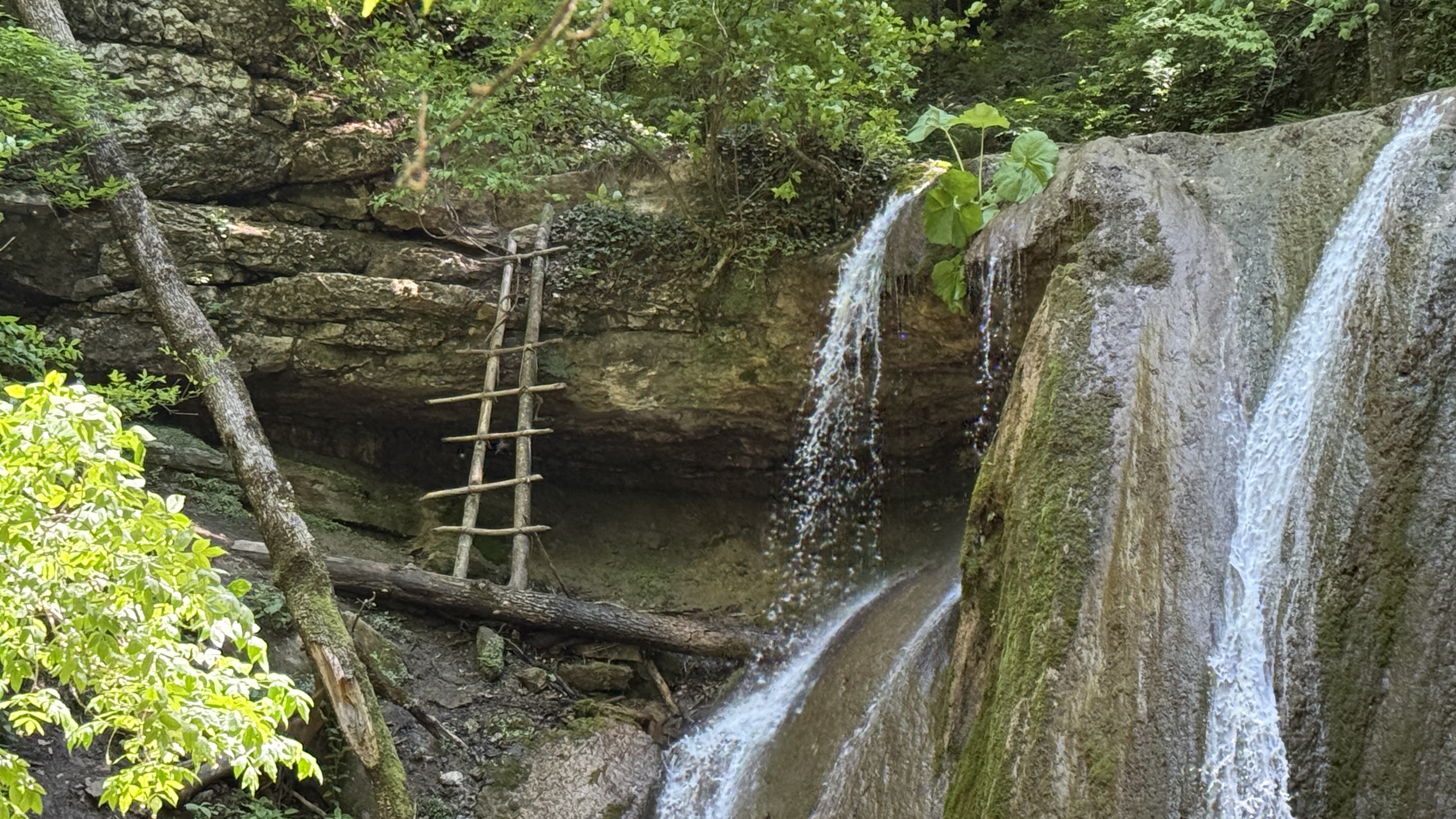 Треккинг в Горячем Ключе (47/76)