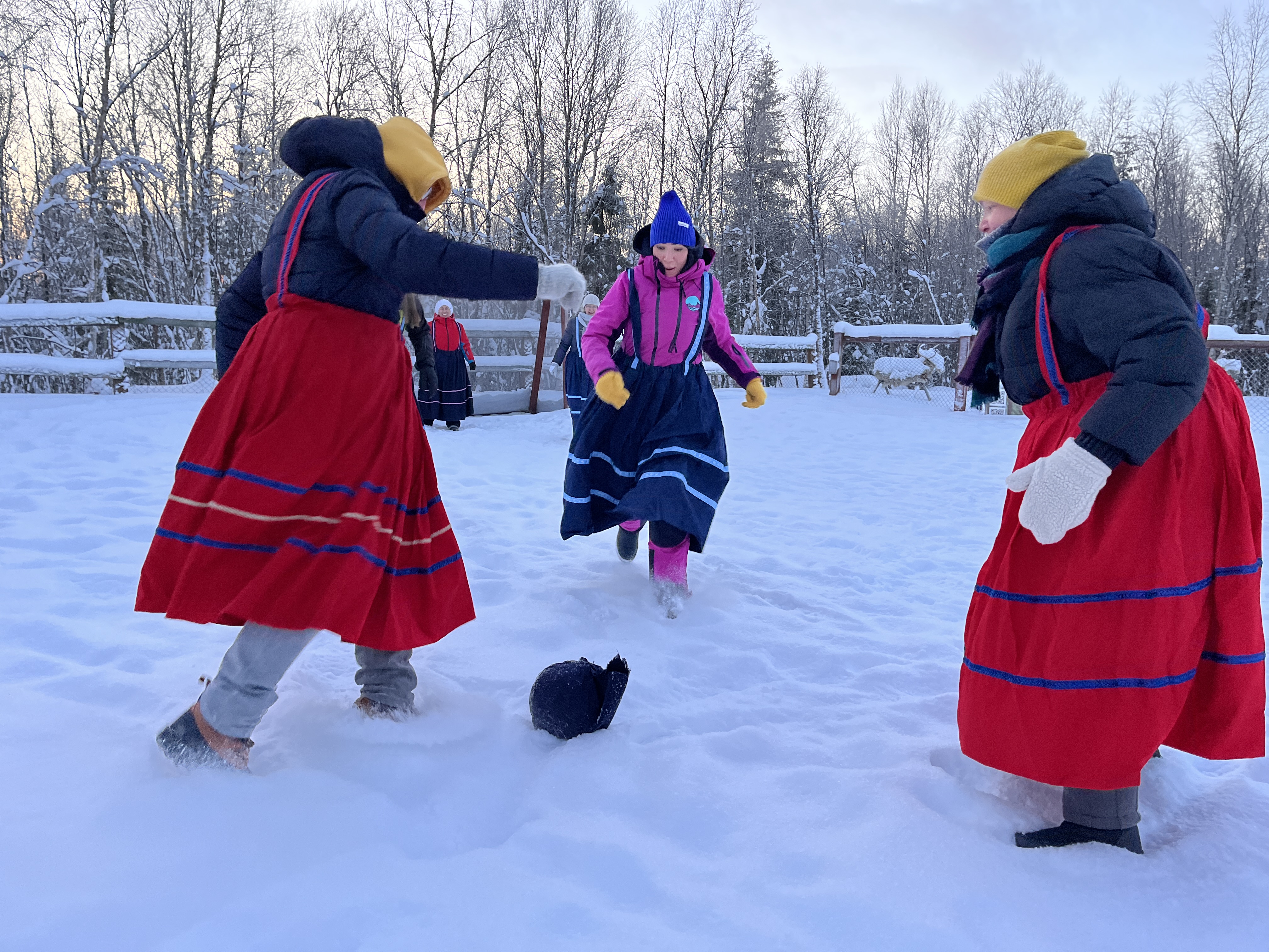 Саамские мотивы