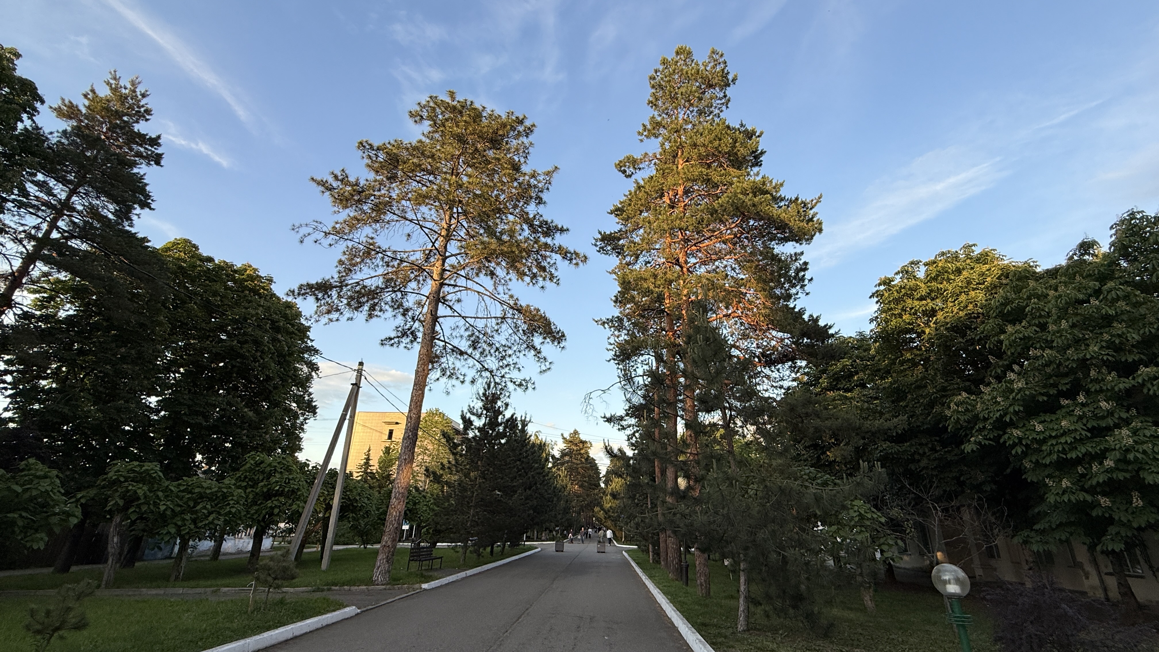 Треккинг в Горячем Ключе (28/76)