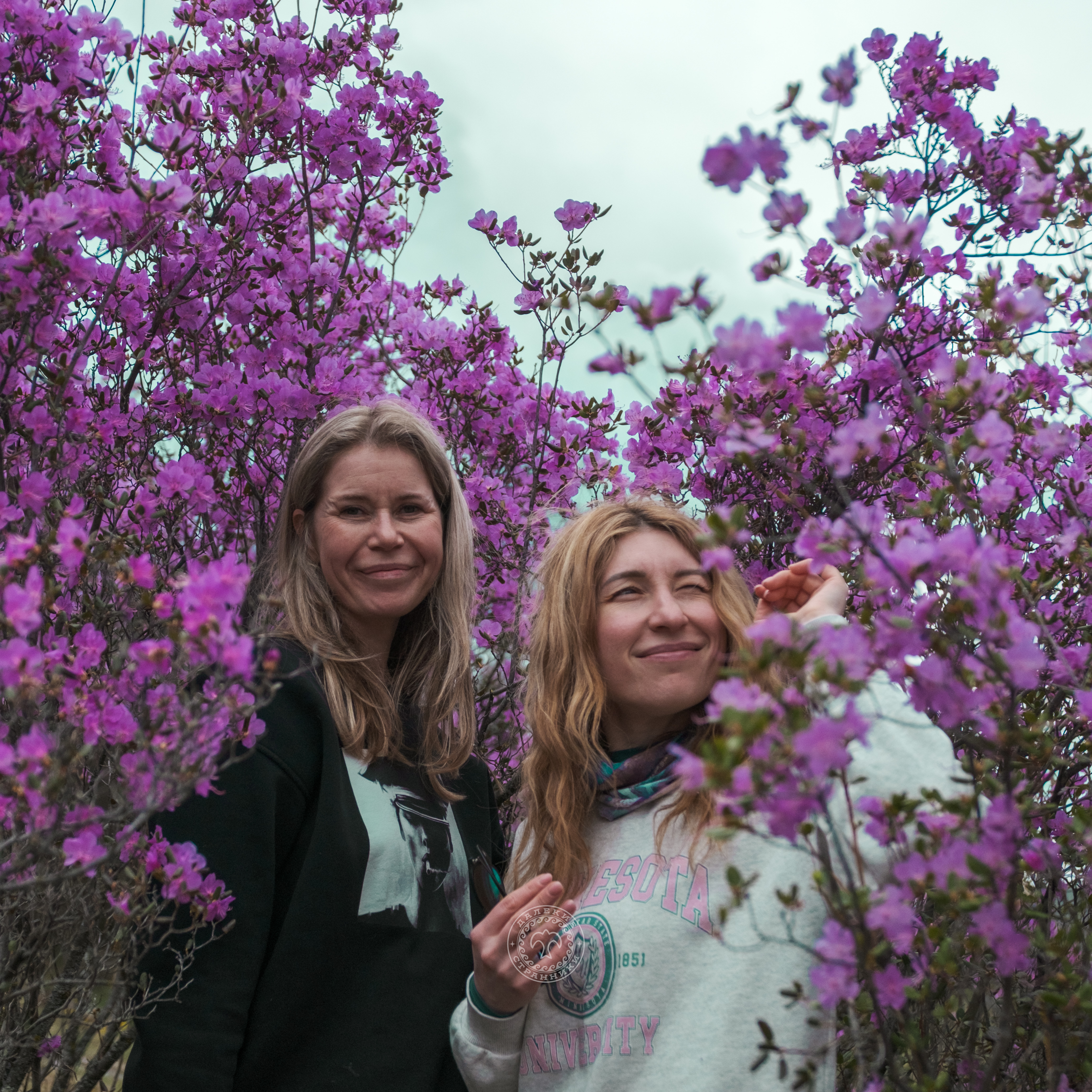 Весенний Маральник на Алтае (2/41)