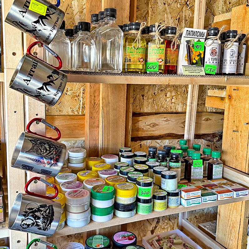 Цветение маральника на Алтае. Майские в сиреневых горах. (8/79)