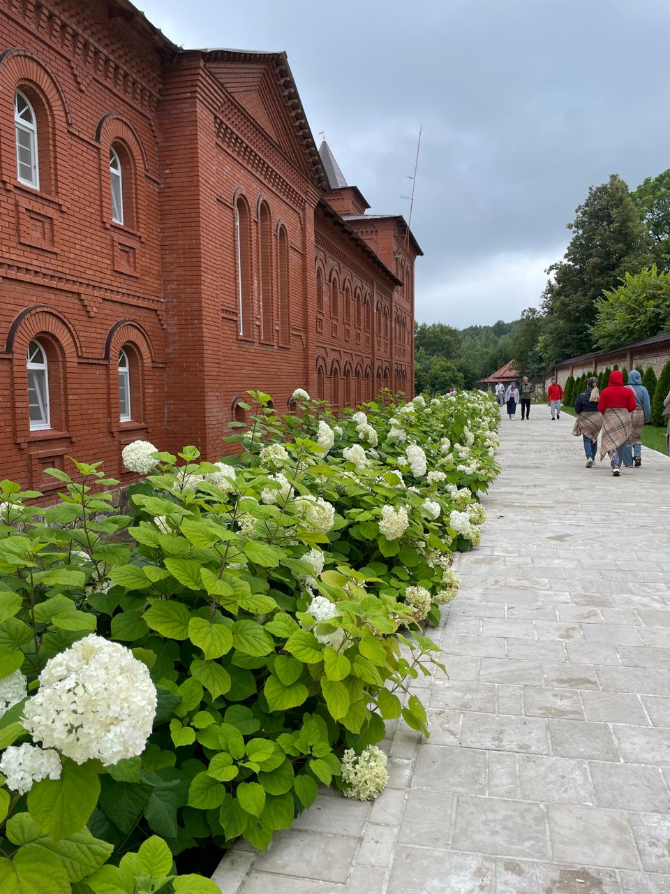 Уфимские каникулы (13/16)